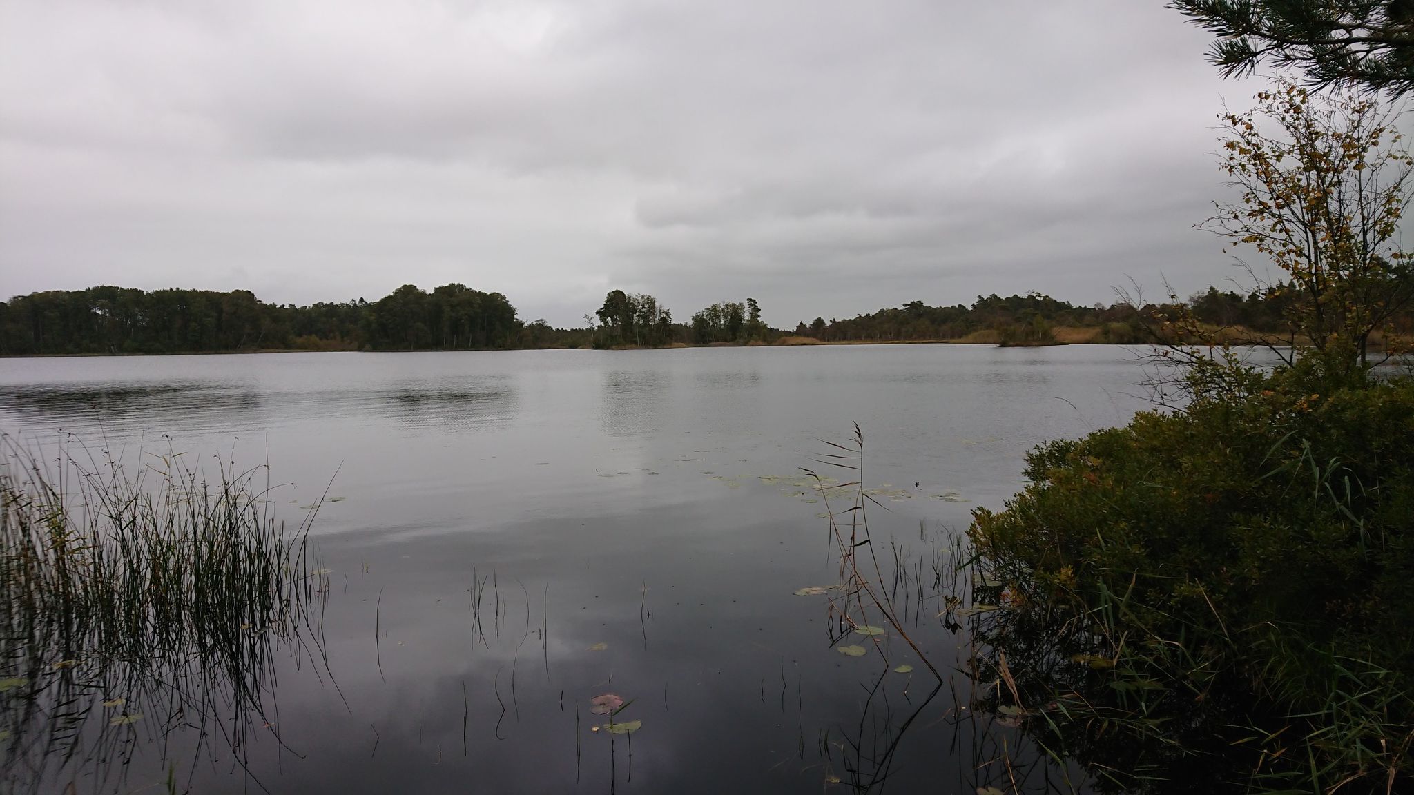 Rosjö