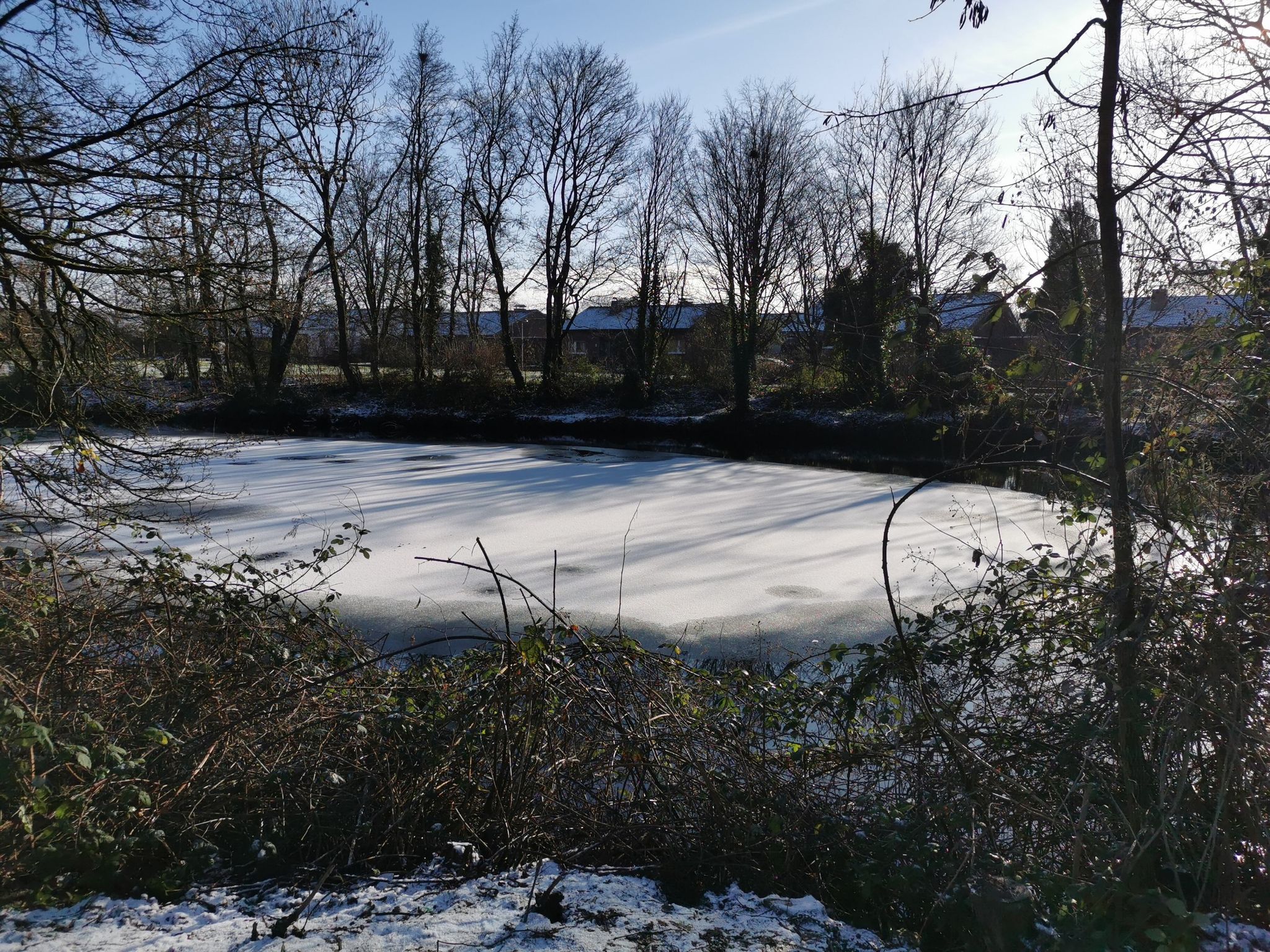 Der Entenweiher am Tennisplatz in Kempen