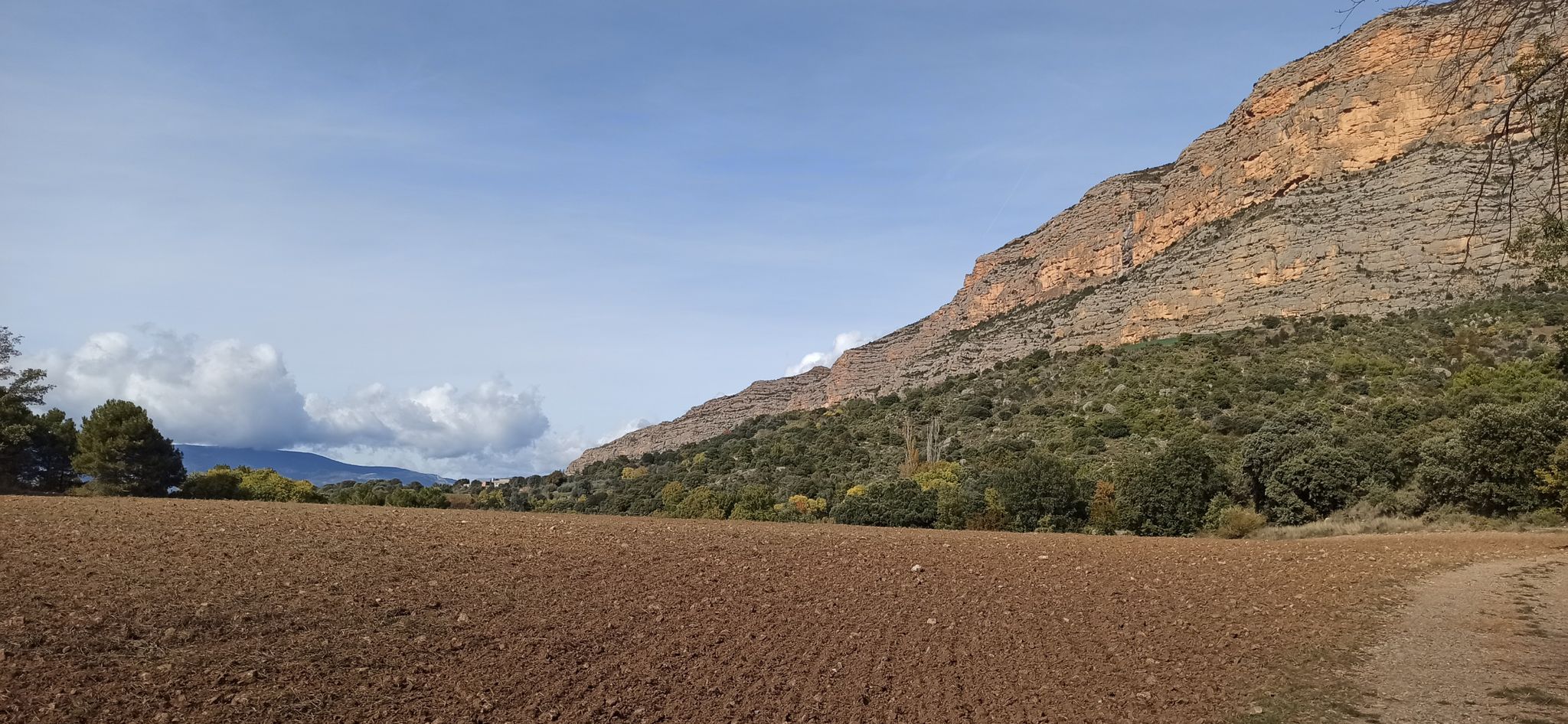 Pessonada