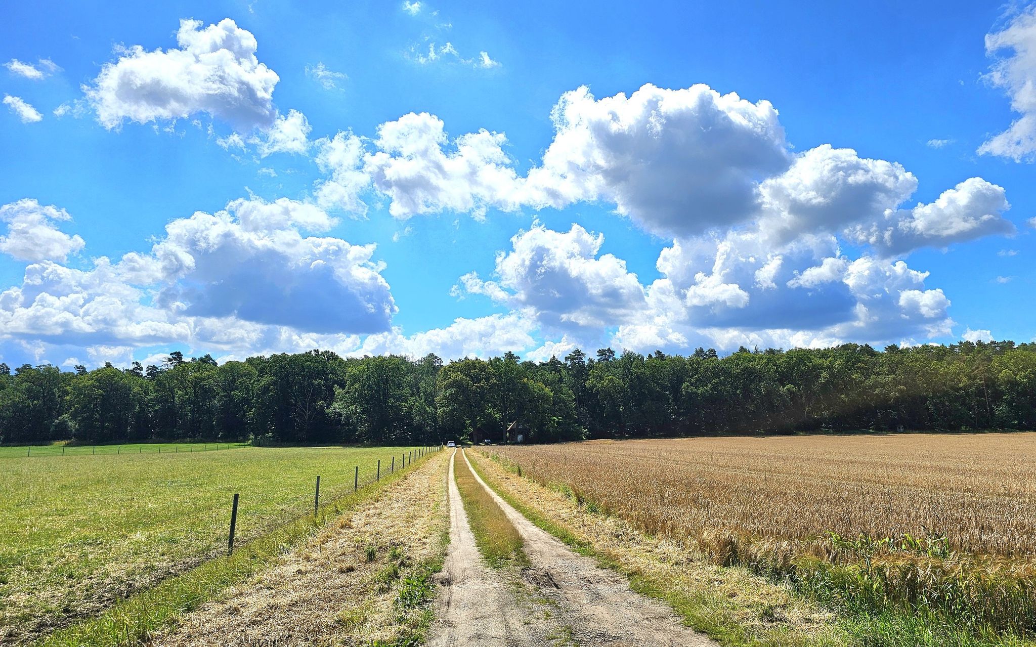Ibsinger Ring - Der Brelinger Berg (92m) ist in Sicht