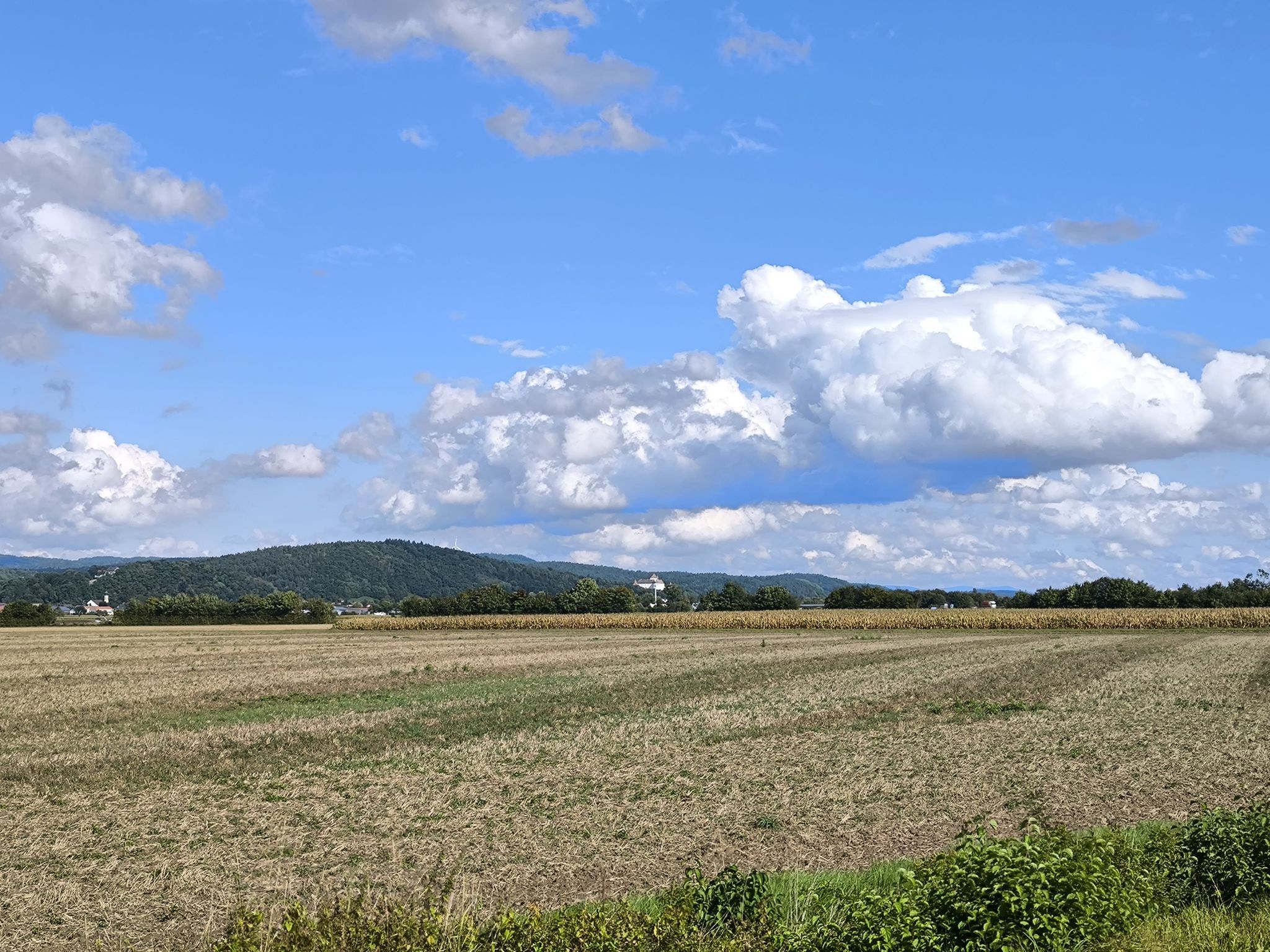 mit Blick zum Schloss / Wörth a.d.Donau