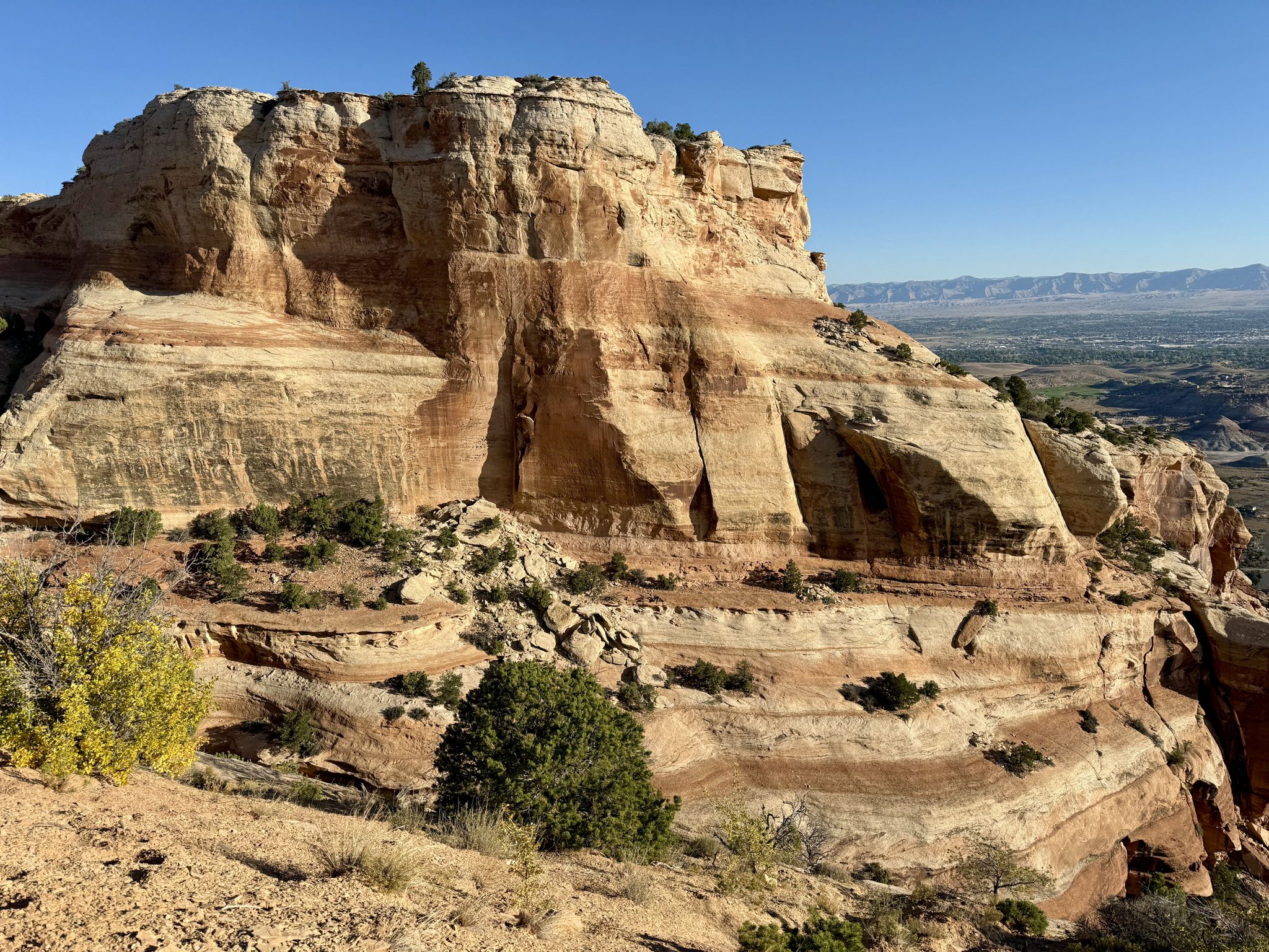 Massive layered sandstone cliff face with sparse green bushes under a clear blue sky. - Serpents Trail
