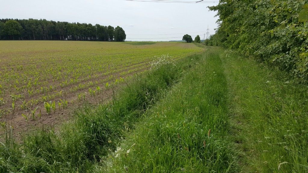 Feldweg....