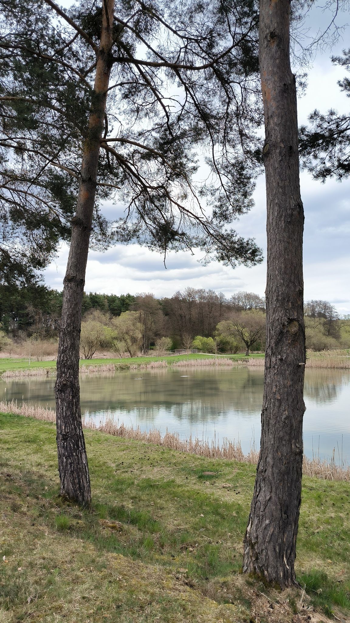 Weiher beim Sportplatz