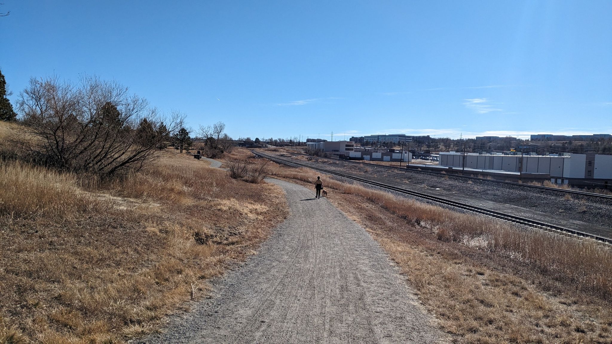 Person walking a dog on a sunny gravel path next to railroad tracks. - Lake Link Trail