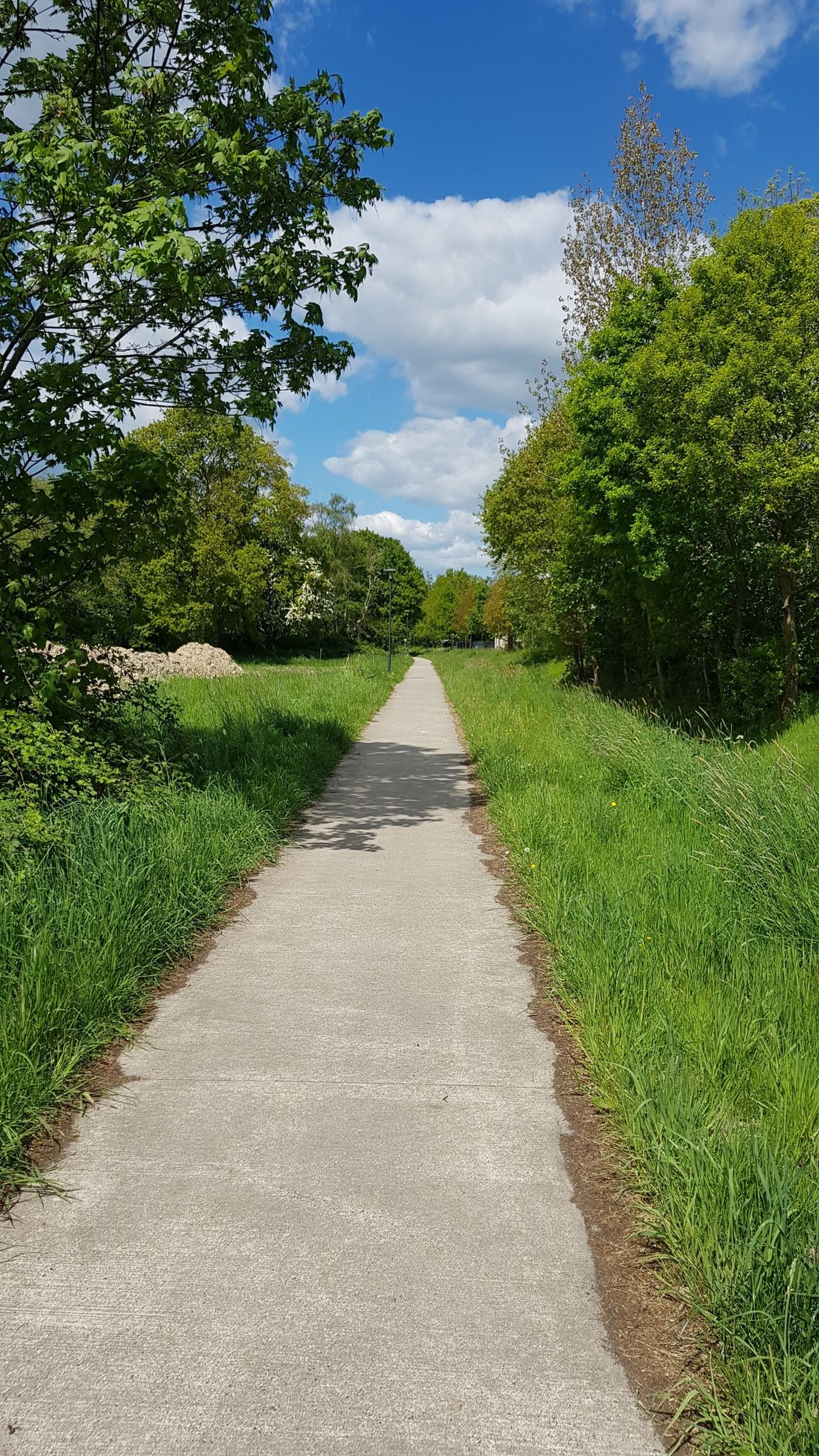 sehr schöner Fahrradweg👍