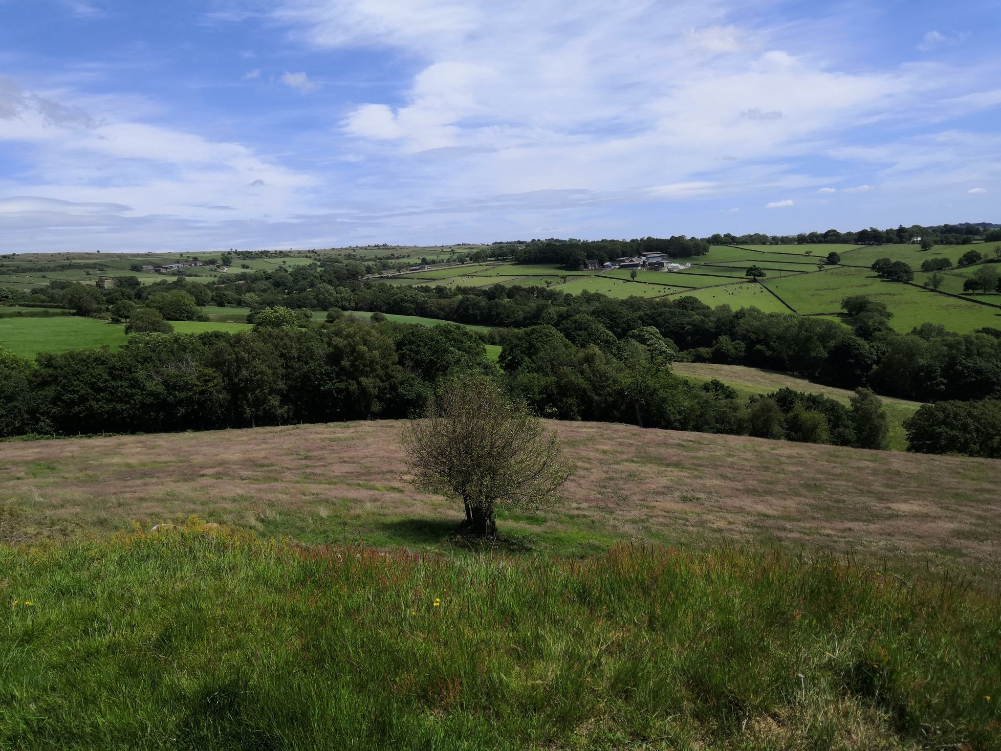 Great view as you walk behind Foxt village