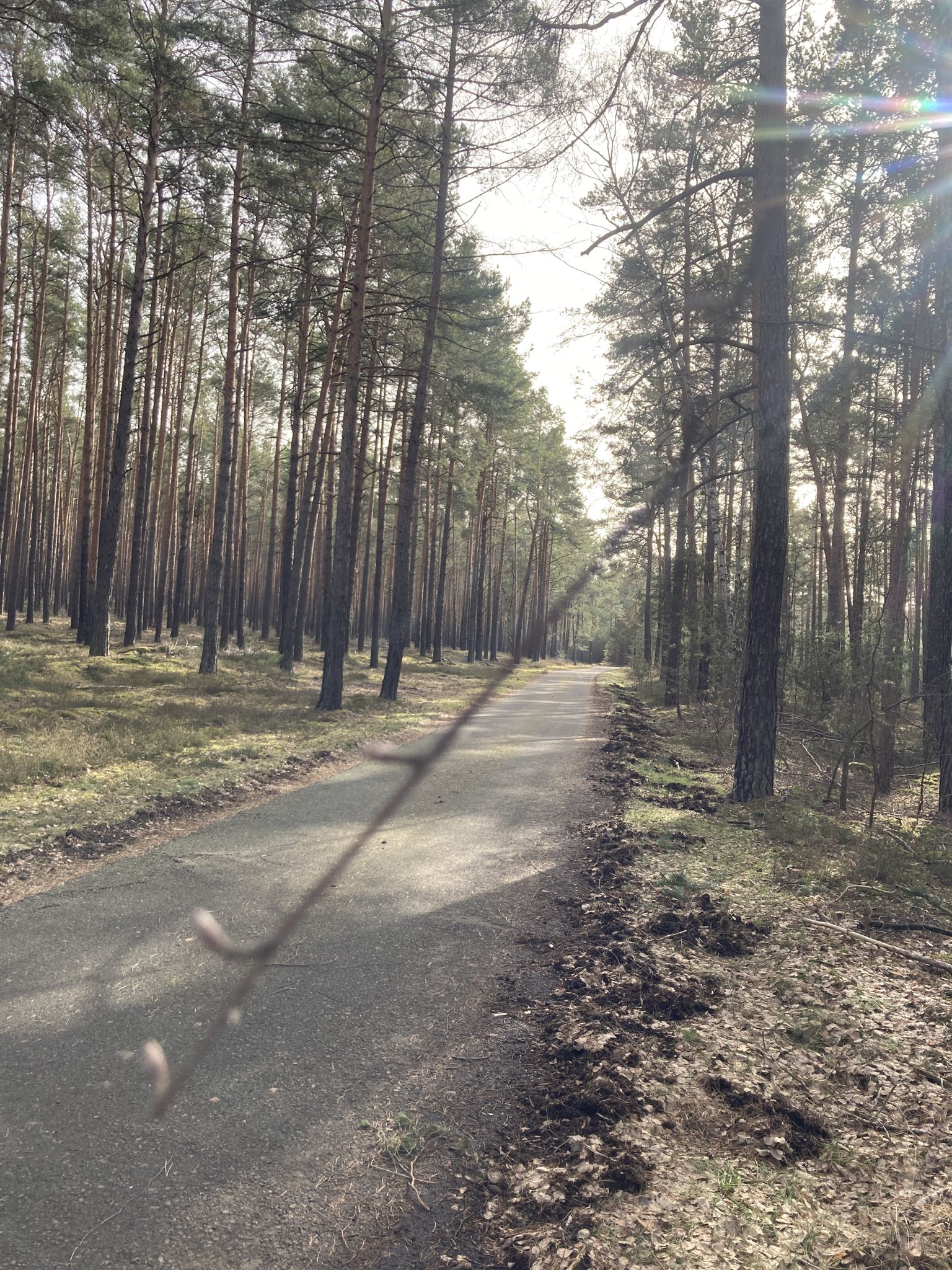 Schöner Weg