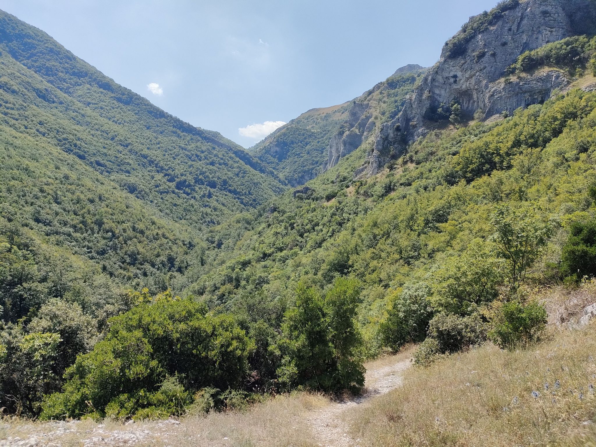 panorama