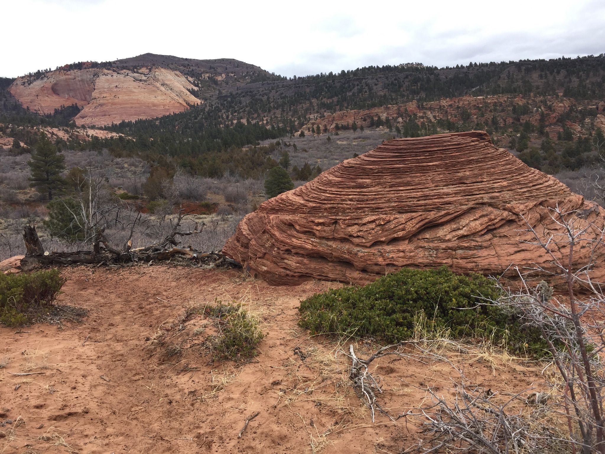 Large layered red rock formation in an arid landscape under an overcast sky. - Wildcat Canyon Connector Trail