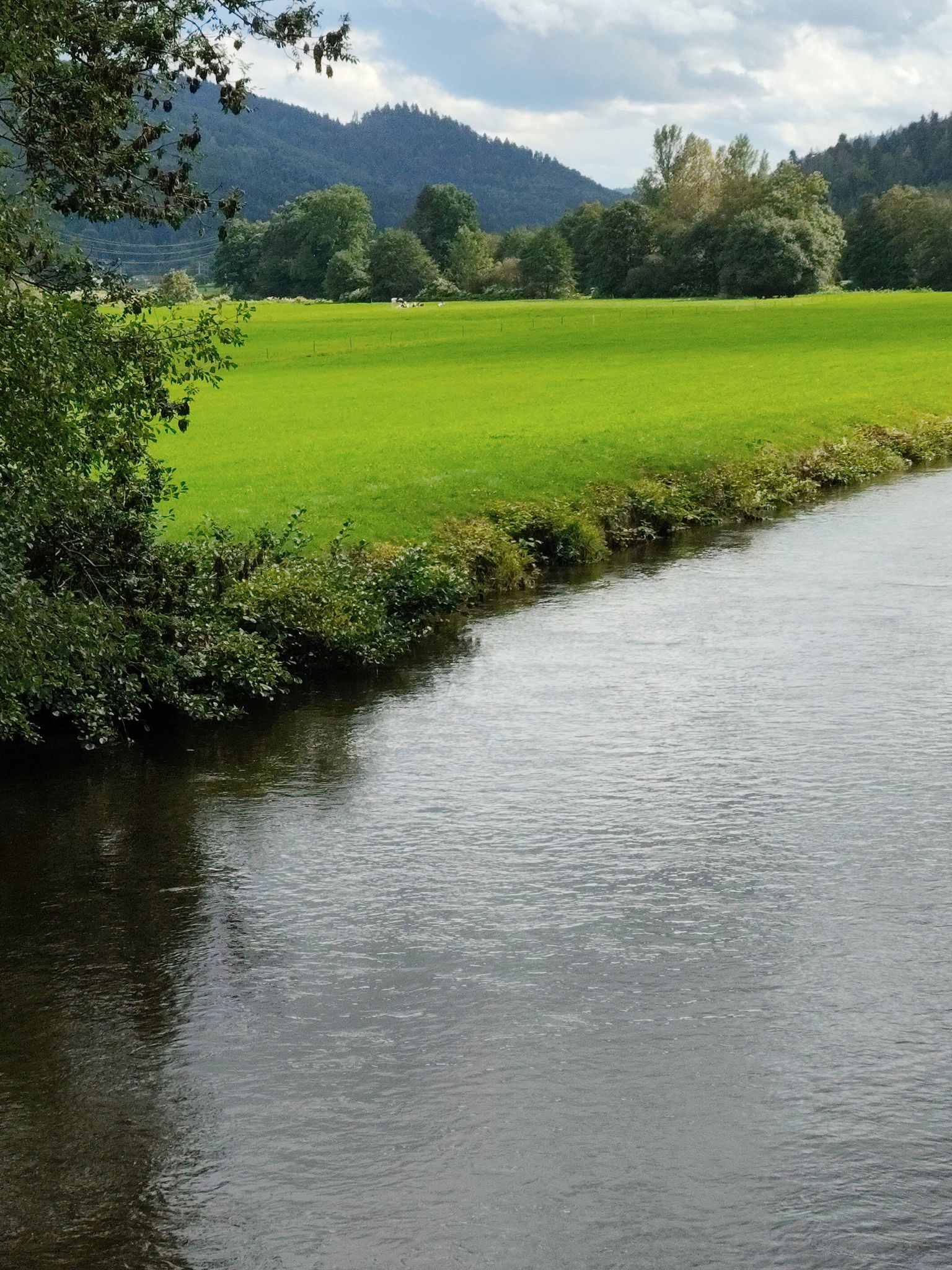 la Moselle a vecoux