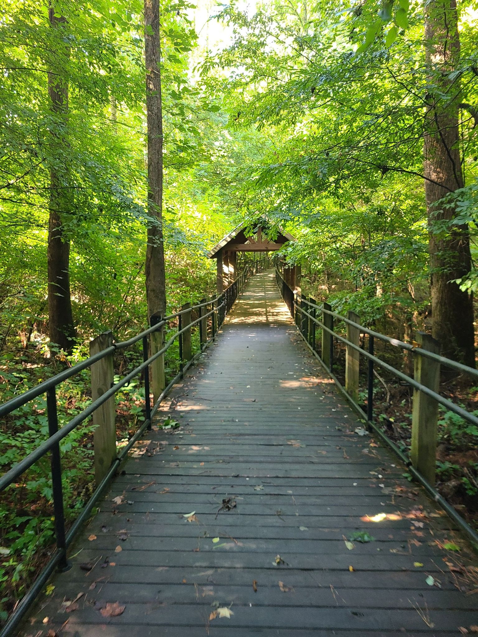Long wooden boardwalk through a sunlit green forest leading to a covered bridge. - Suwanee Creek Greenway