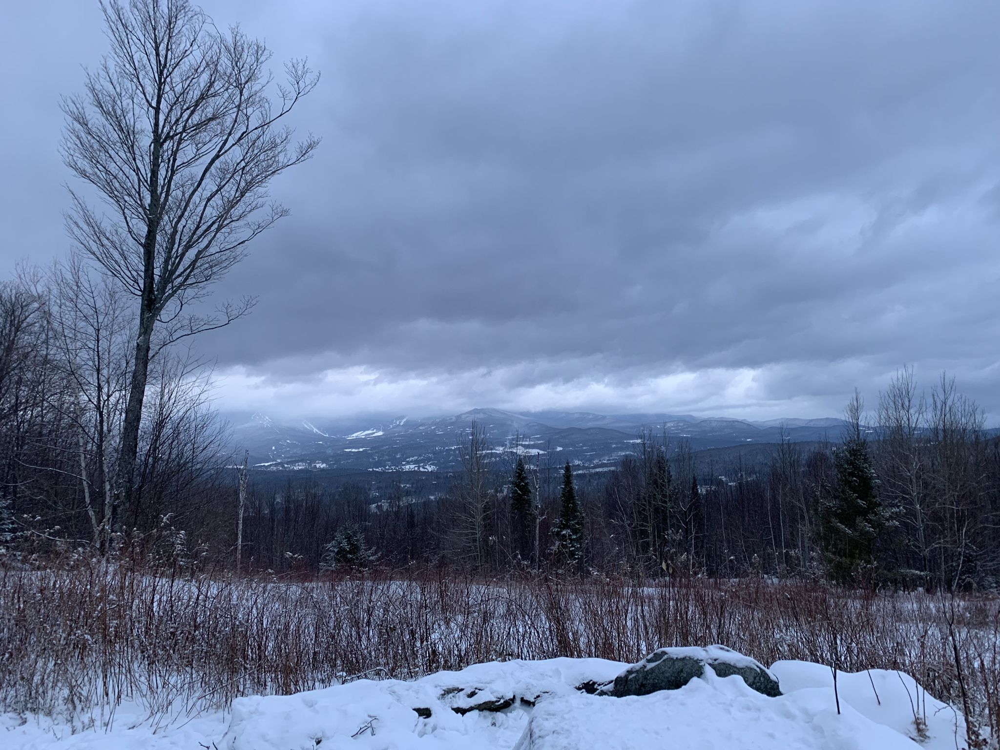 A snowy winter landscape with bare trees and distant mountains under a dark sky. - Pinnacle Meadow Trail loop from Pinnacle Meadow Parking
