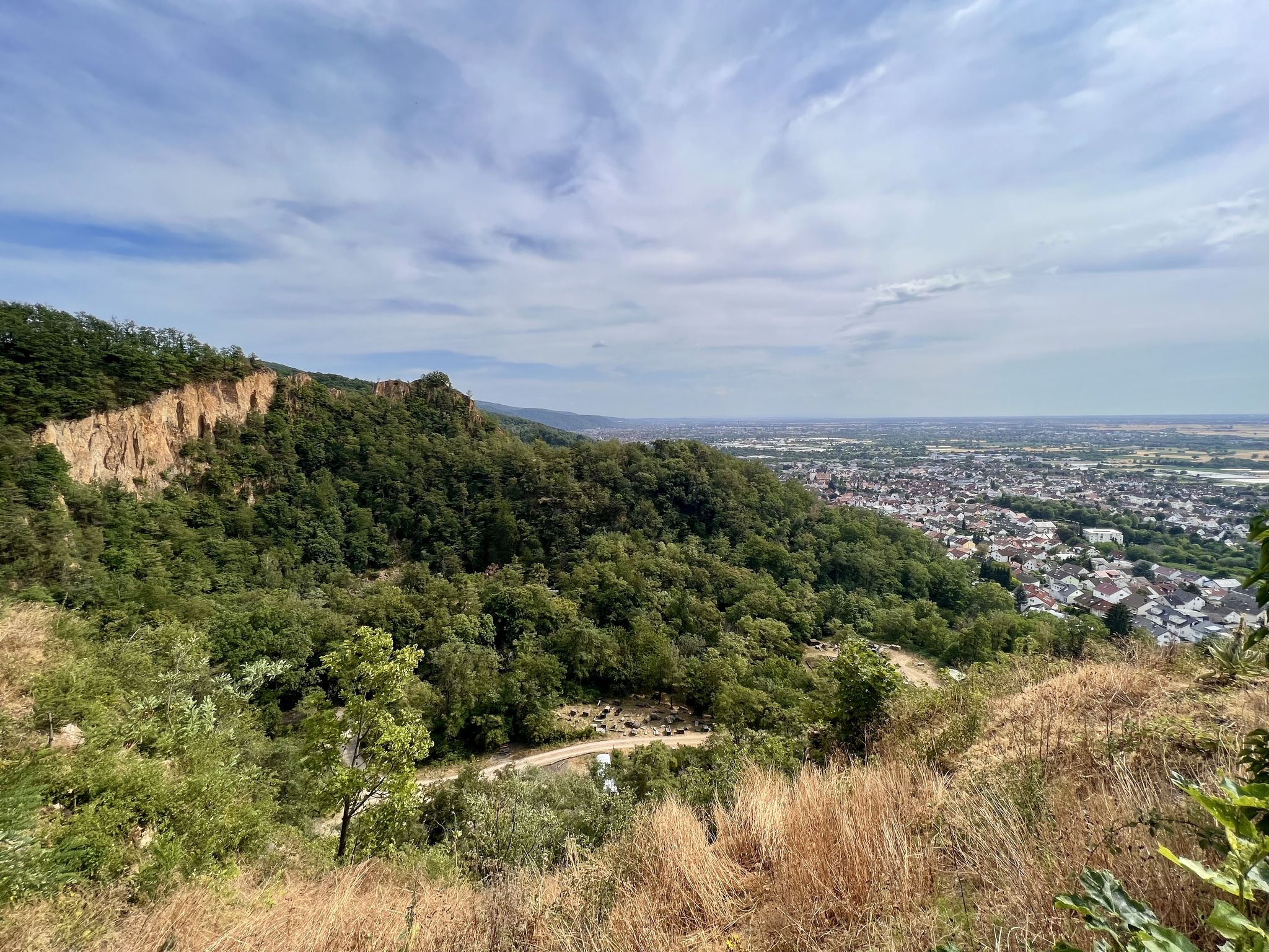 Ausblick über Dossenheim