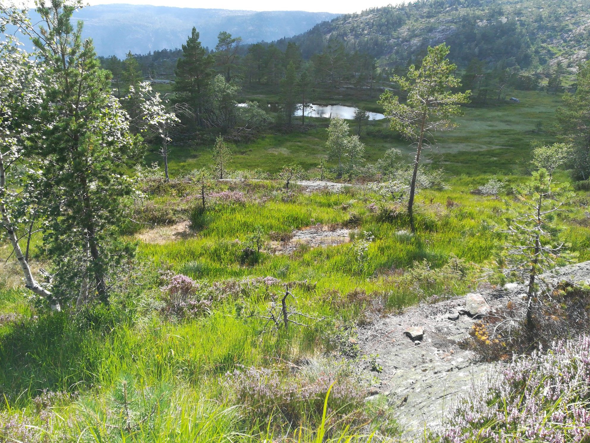 Ausblick mit See