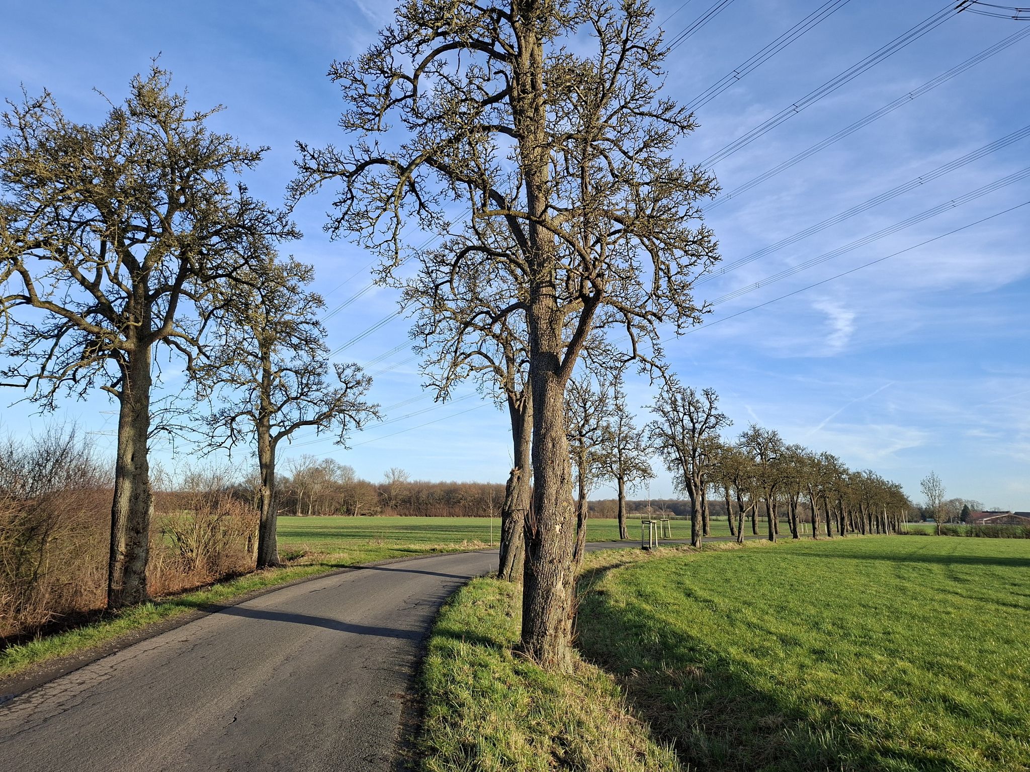 Schäringer Feld