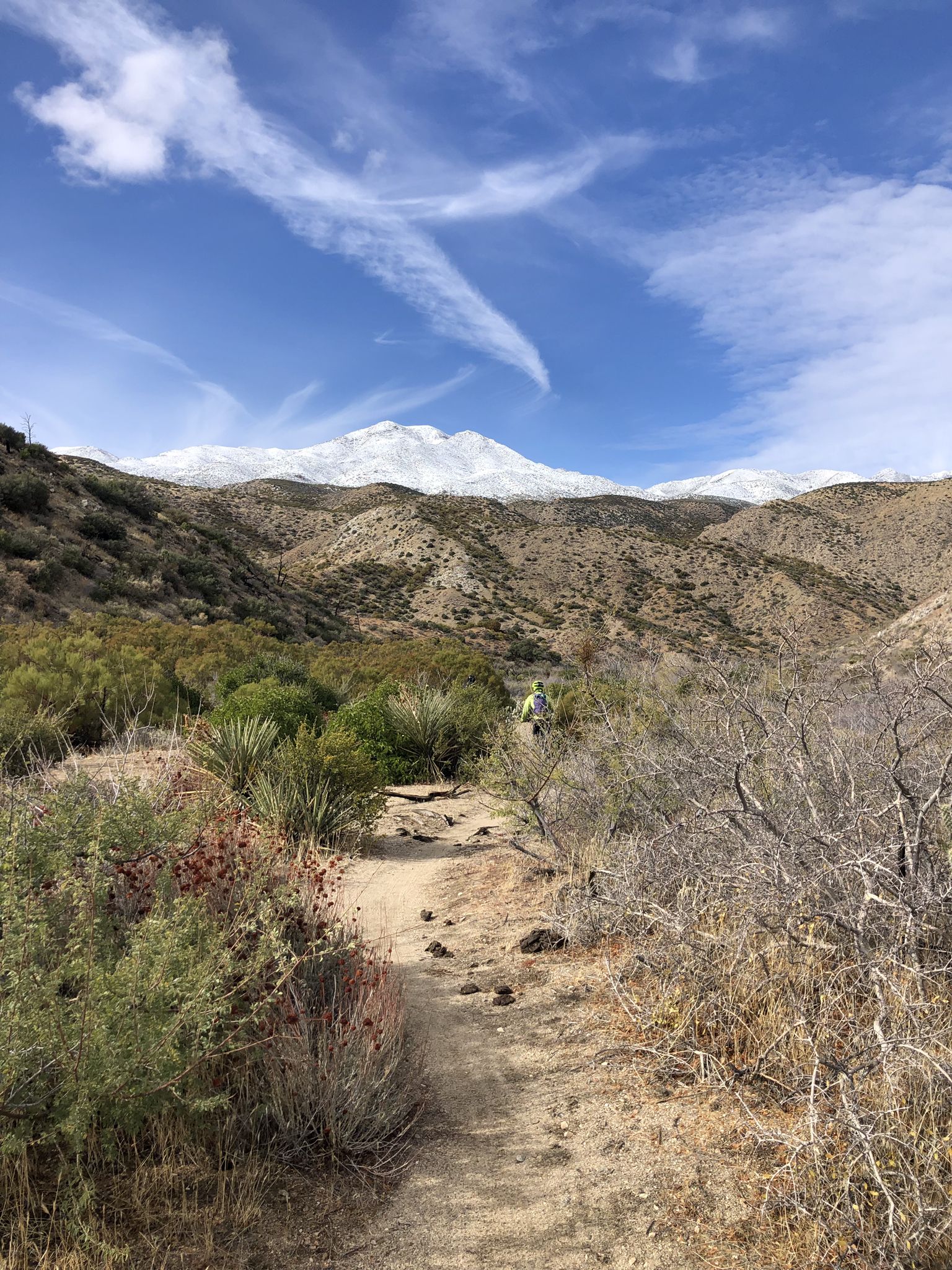 Person on a dirt path with snowy mountains in the distance, sunny. - Palm Canyon Epic – San Bernardino National Forest