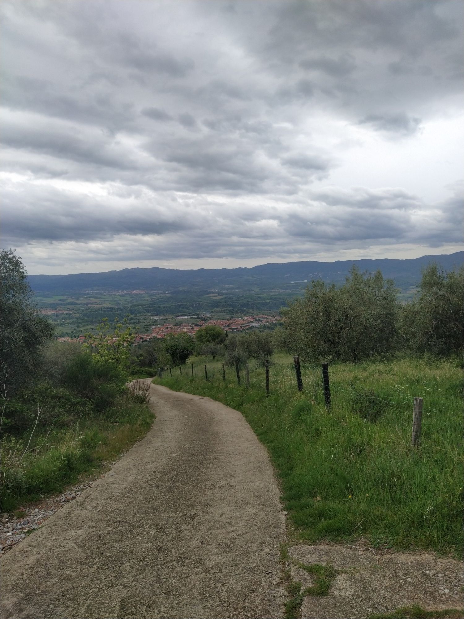 panorama Piandisco'