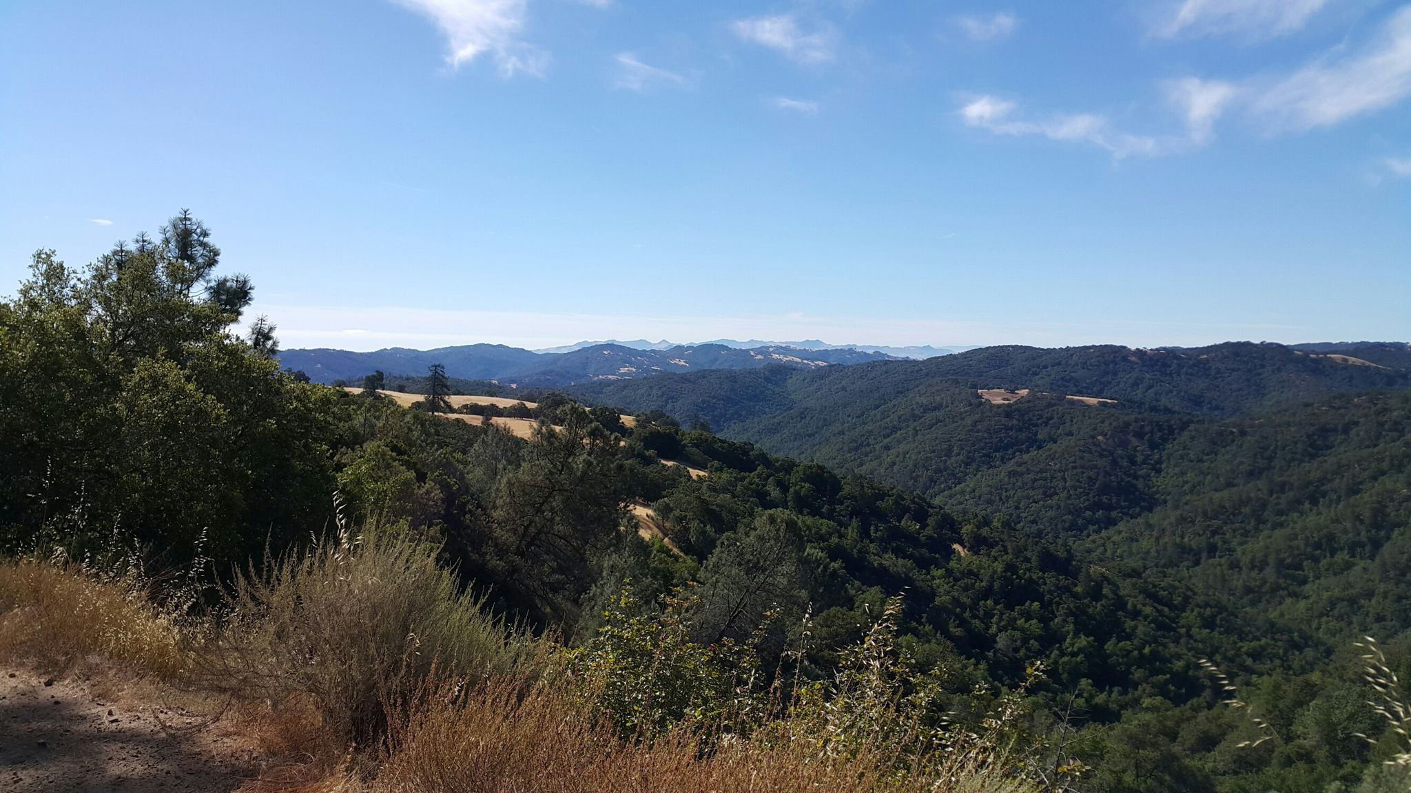 Sunny view of rolling forested hills and valleys under a clear blue sky. - Flat Frog Trail via Monument Trail loop
