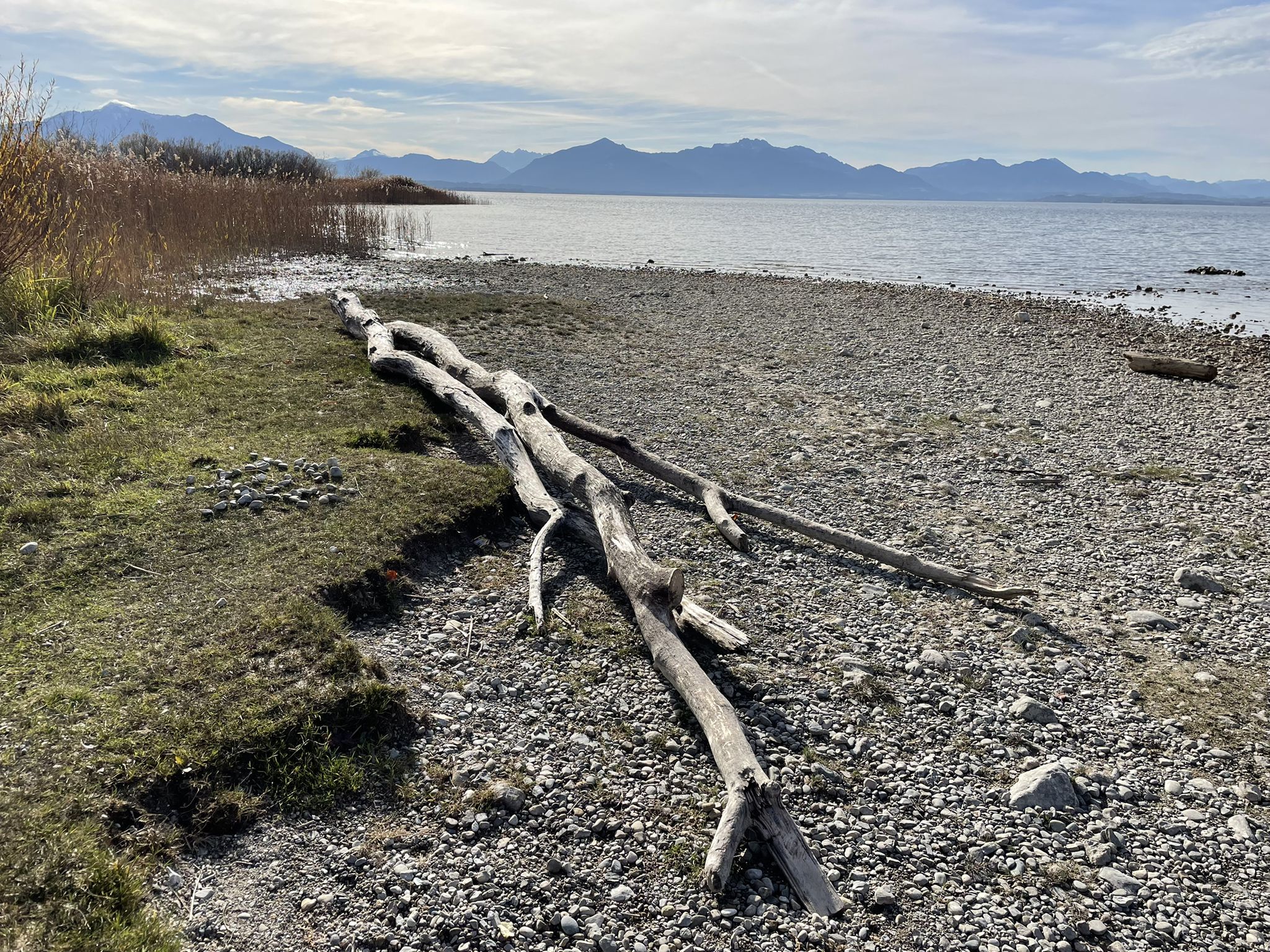Chiemseeufer bei Arlaching