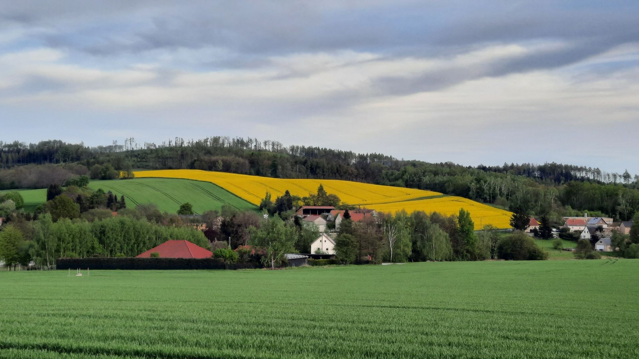 grün und gelb sind dominierende Farben
