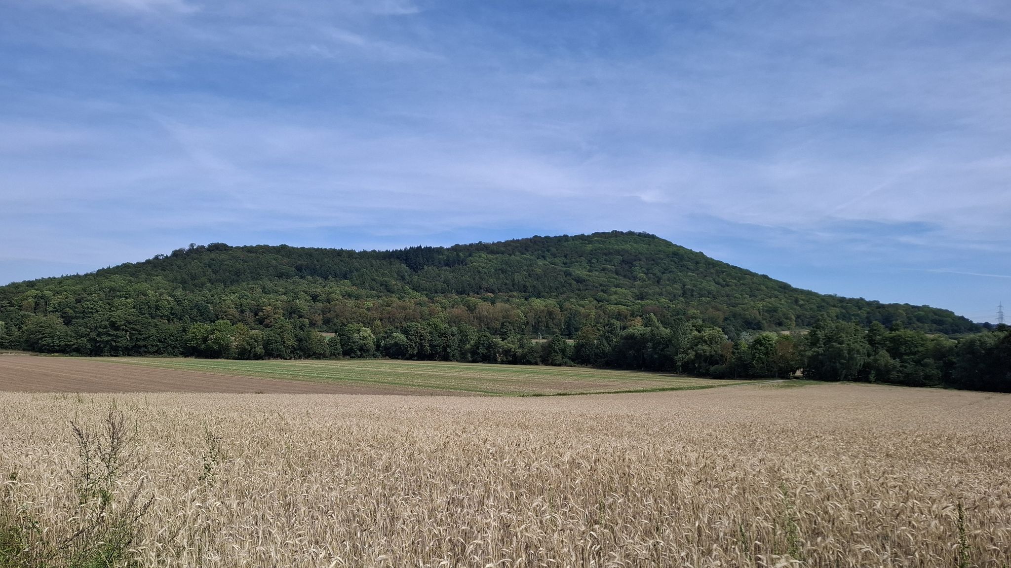 Der Schöneberg
