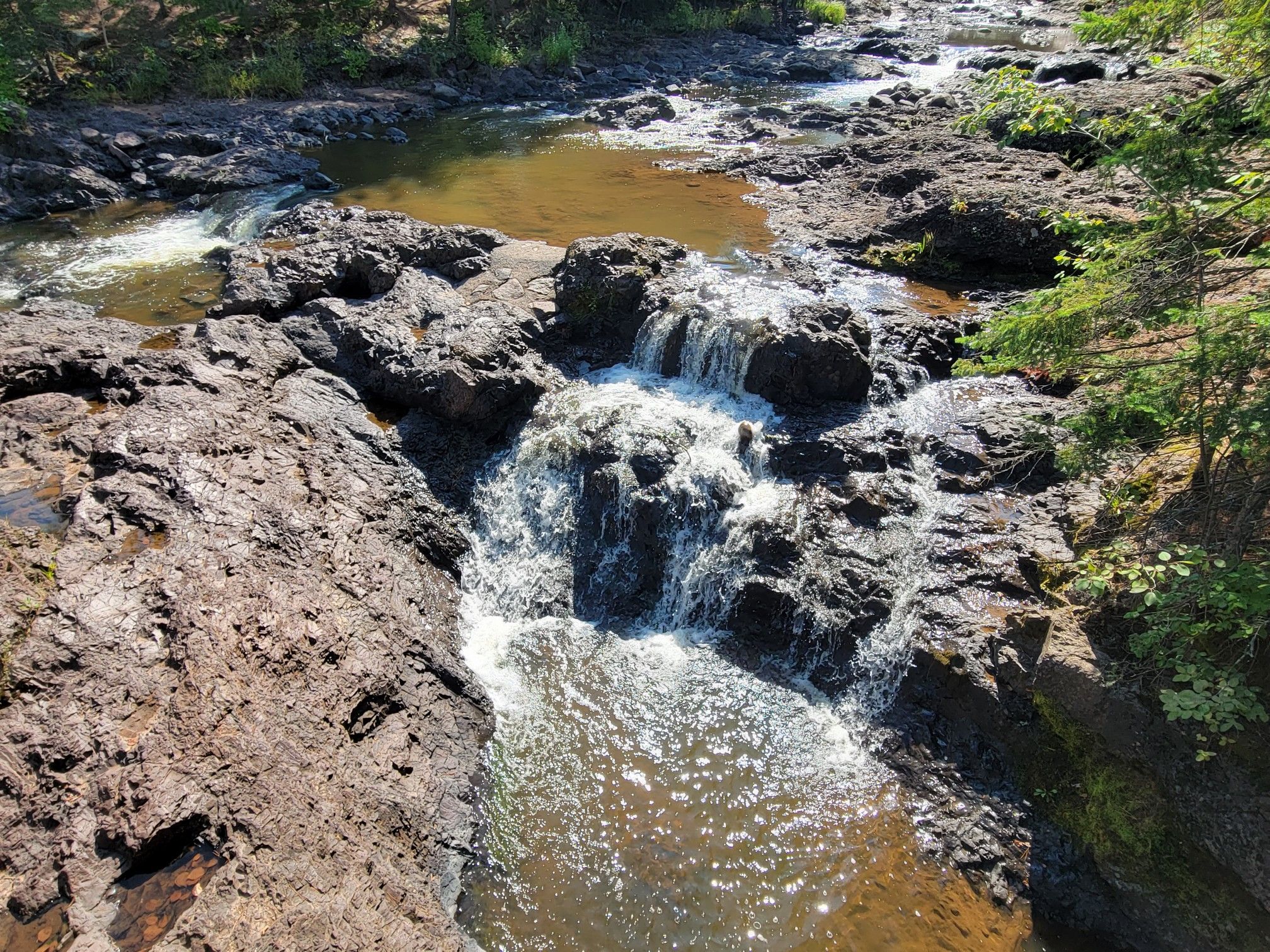 A small waterfall cascades over dark rocks in a sunlit, forested river. - Thimbleberry Nature Trail