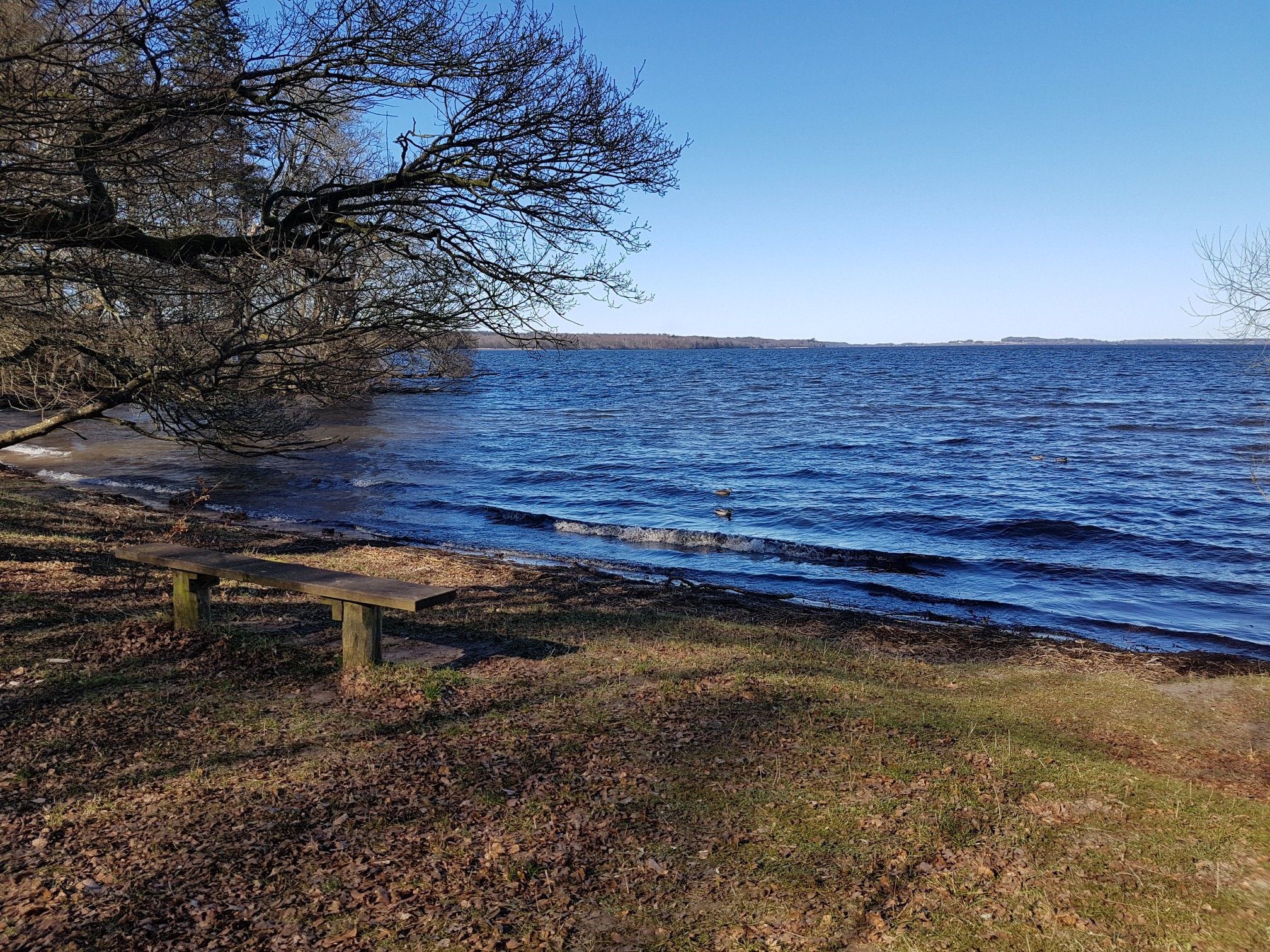 Esrum sø