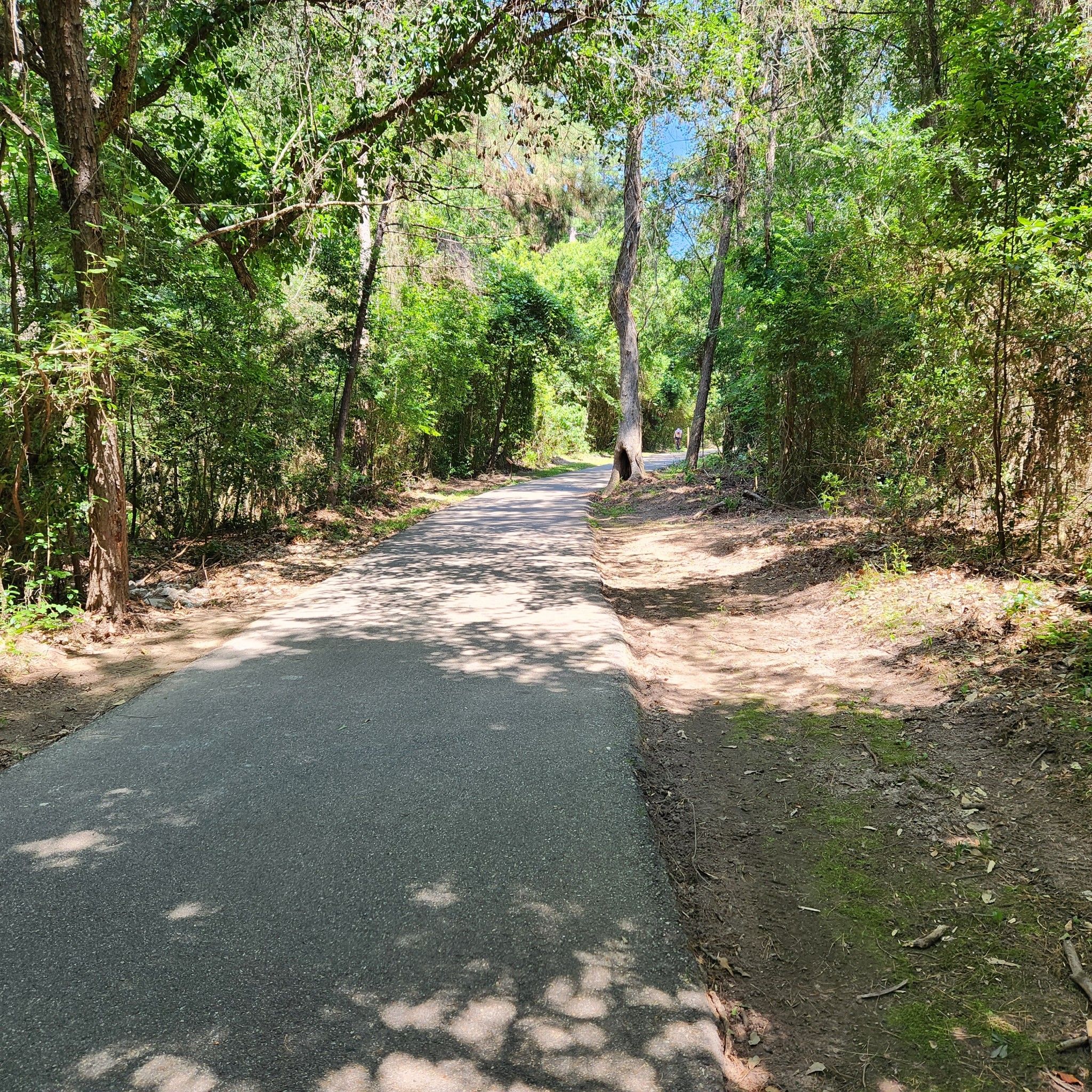 Paved path winding through a lush green forest with dappled sunlight. - Spring Creek Greenway Trail