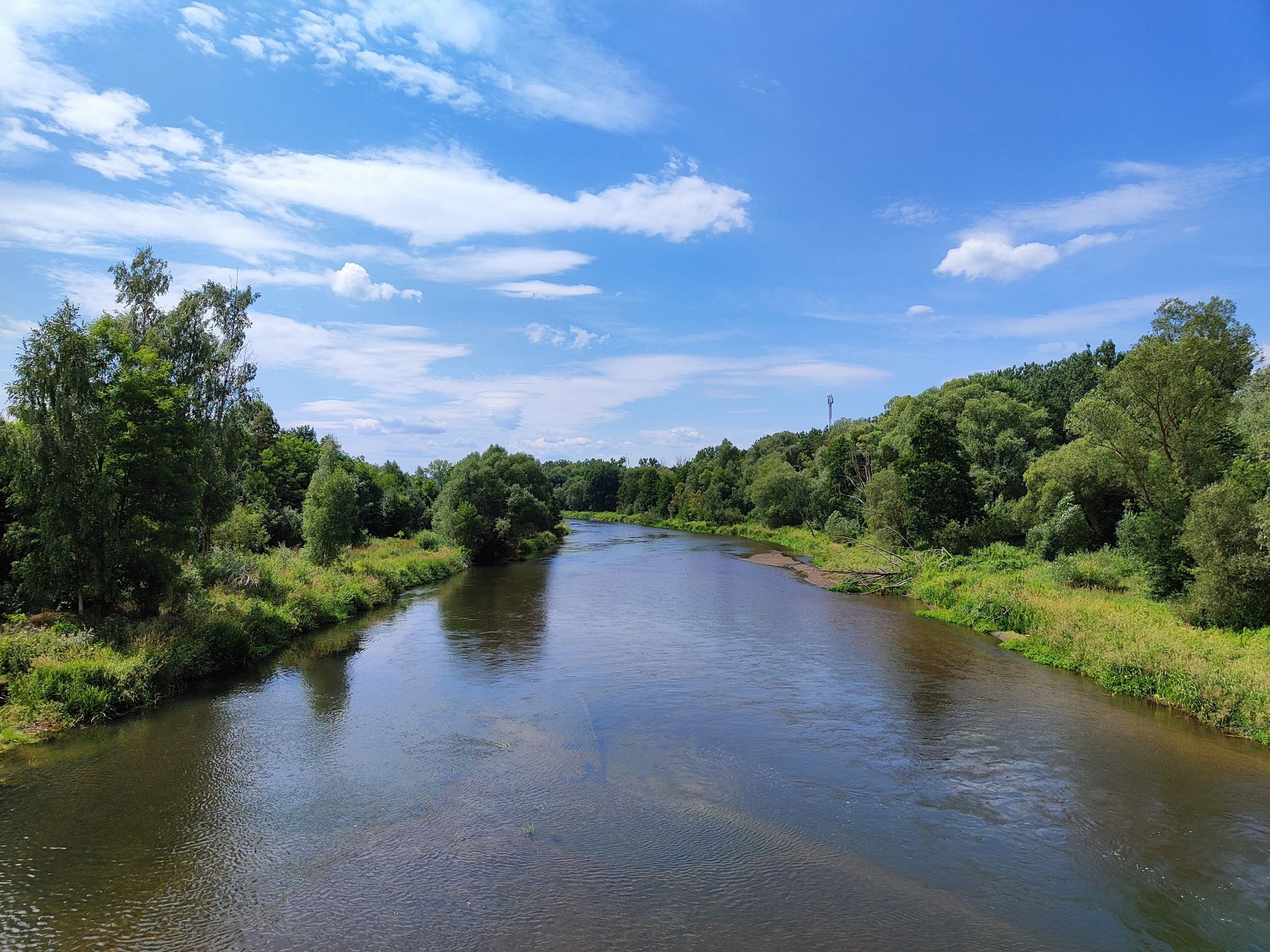 Warta w Działoszynie