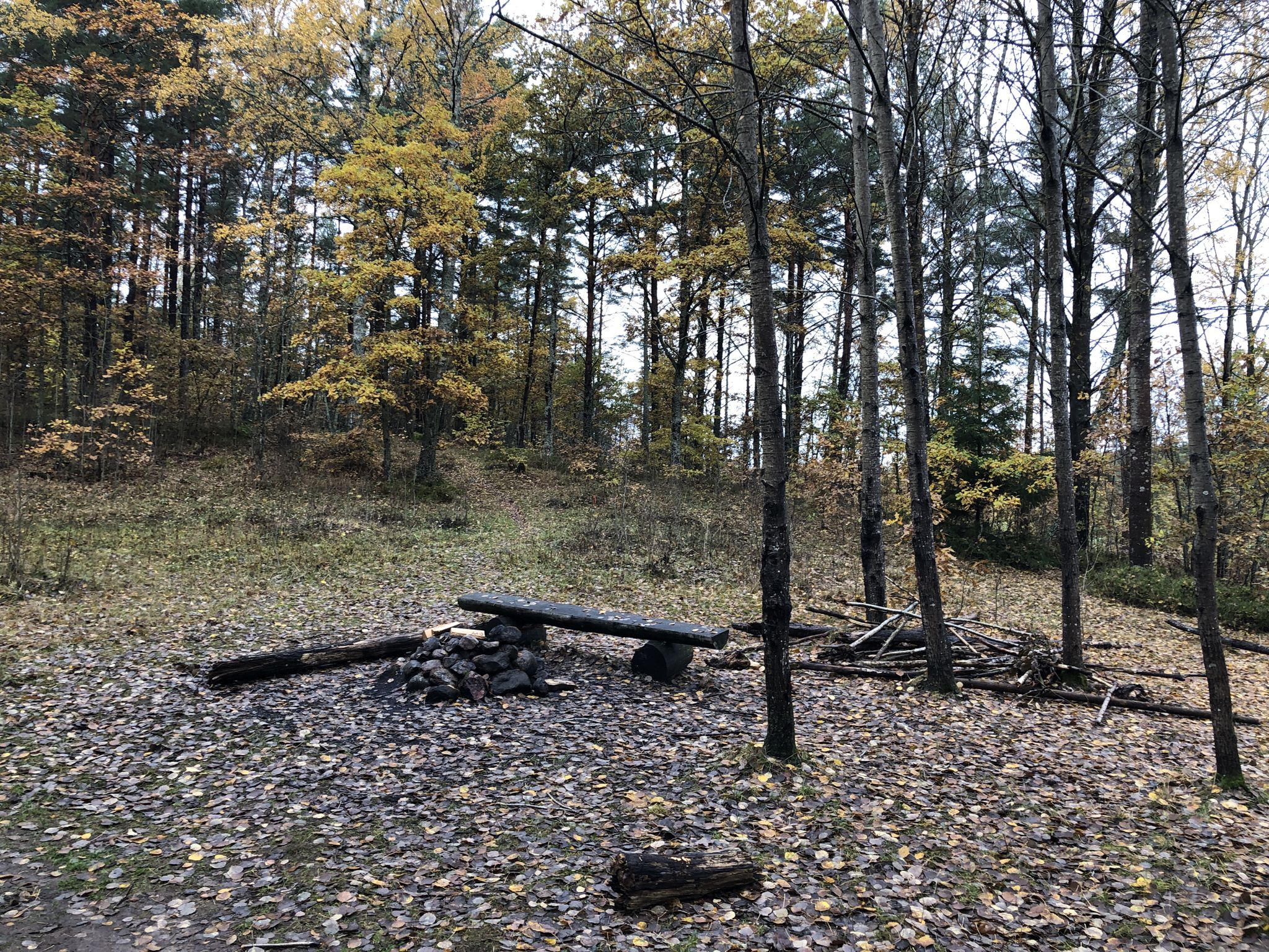Resting and campfire area