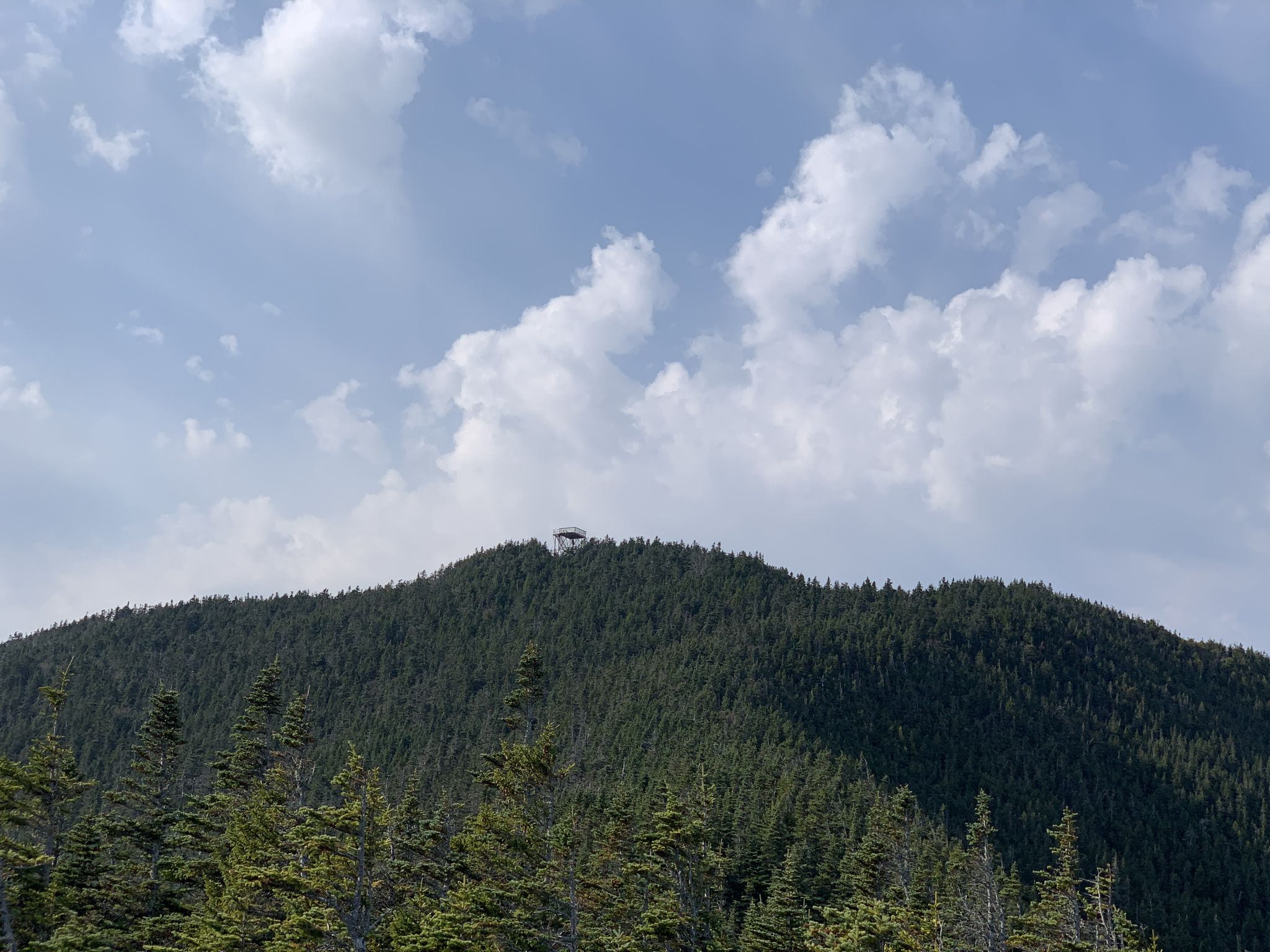 Dense green forest covers a mountain peak with a small structure under a cloudy sky. - Mount Carrigain and Nancy Pond Loop