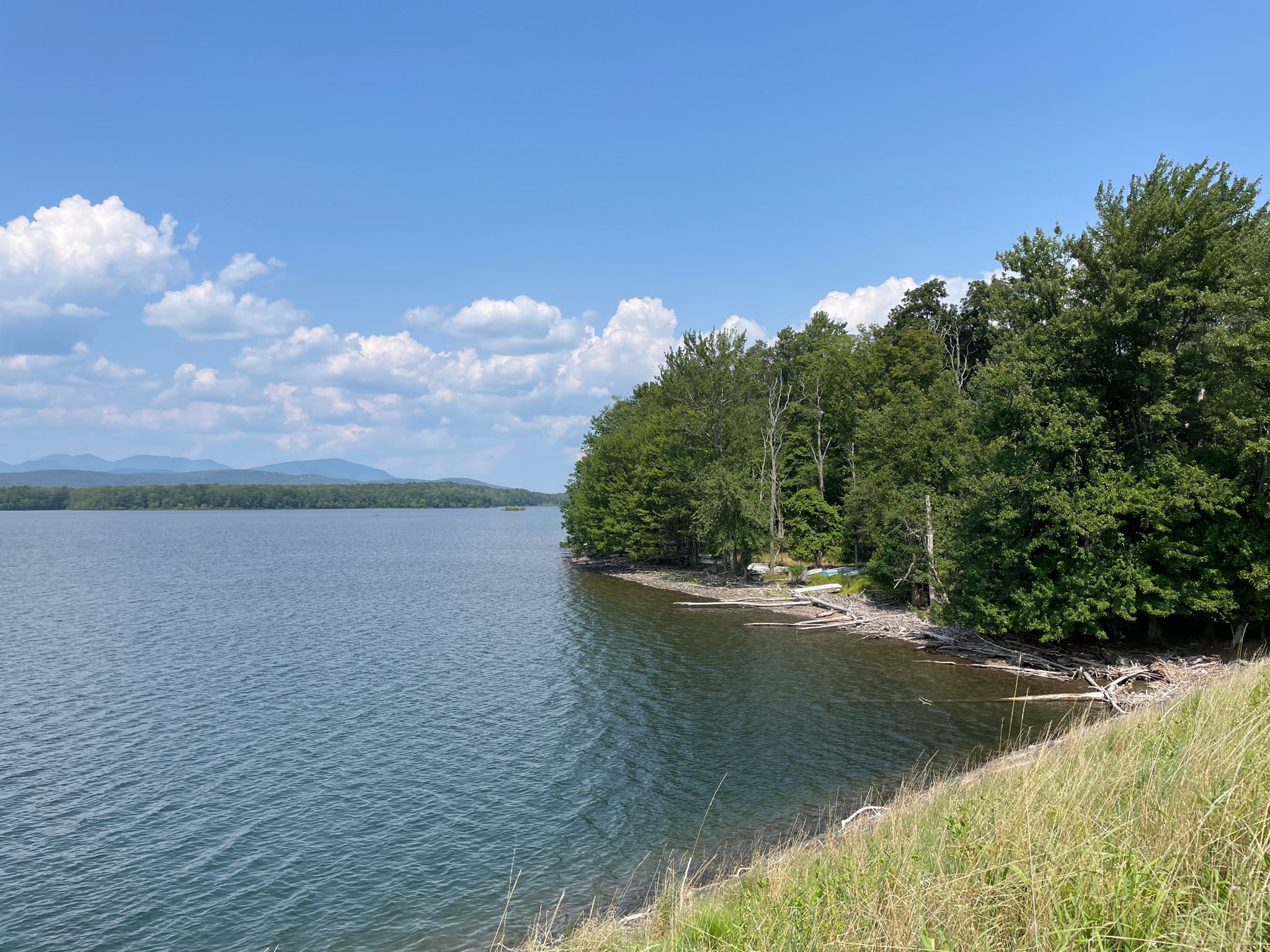 Calm lake with forested shoreline under a bright blue sky with clouds. - Poughkeepsie to Ashokan Reservoir loop