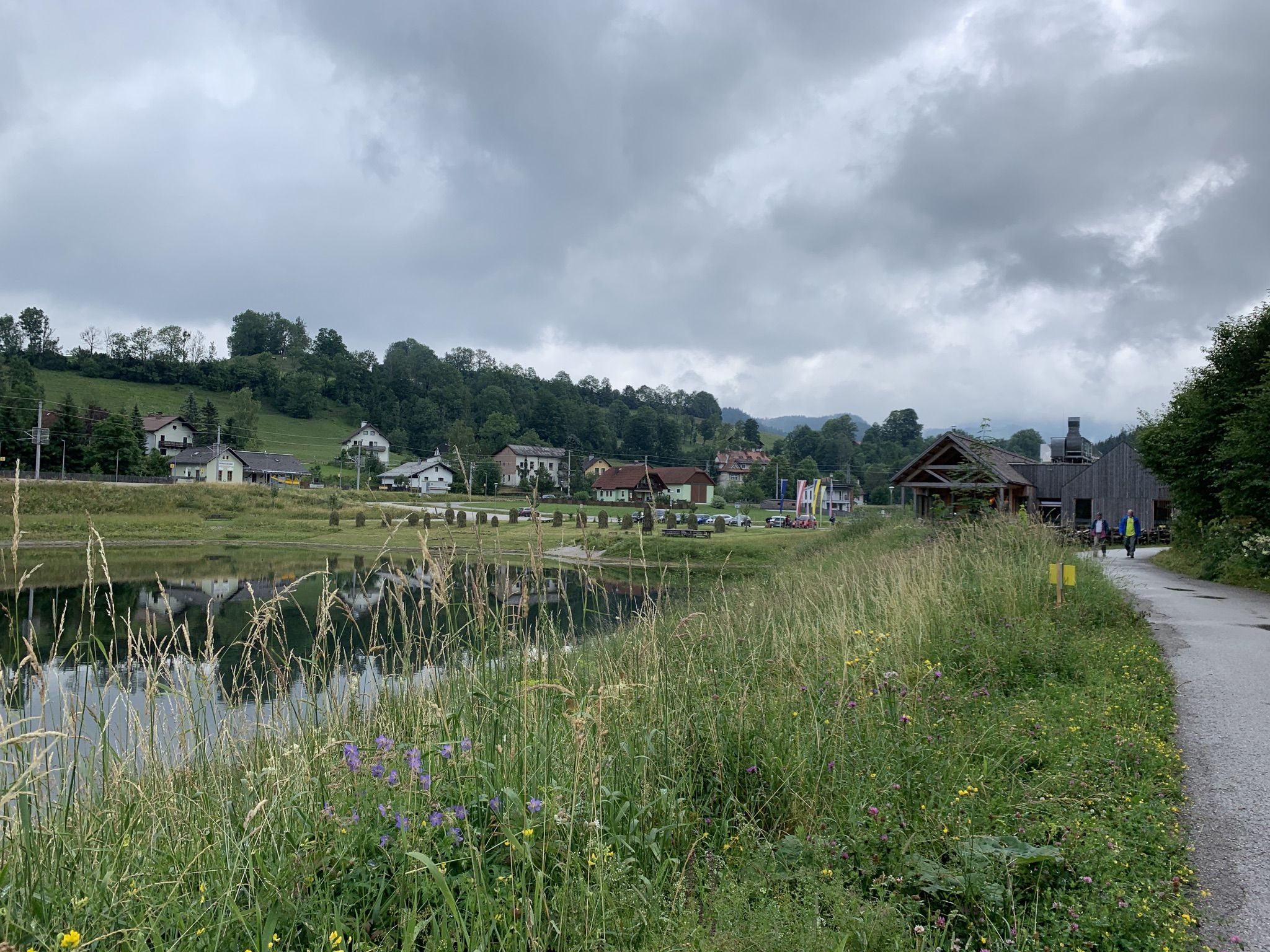 Blumenzwiebeln in Wienerbruck 