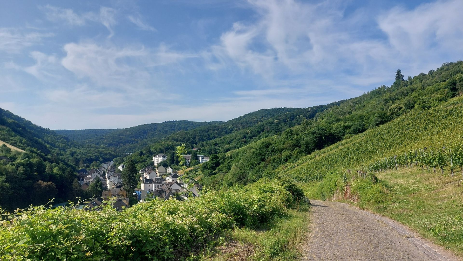 Mosel- Camino (in 8 Etappen) | Komoot