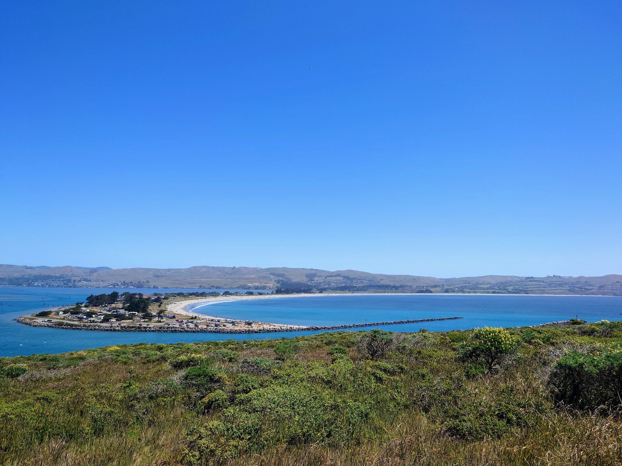 A wide bay with a sandy spit, distant hills, under a clear blue sky. - Bodega Head Trail