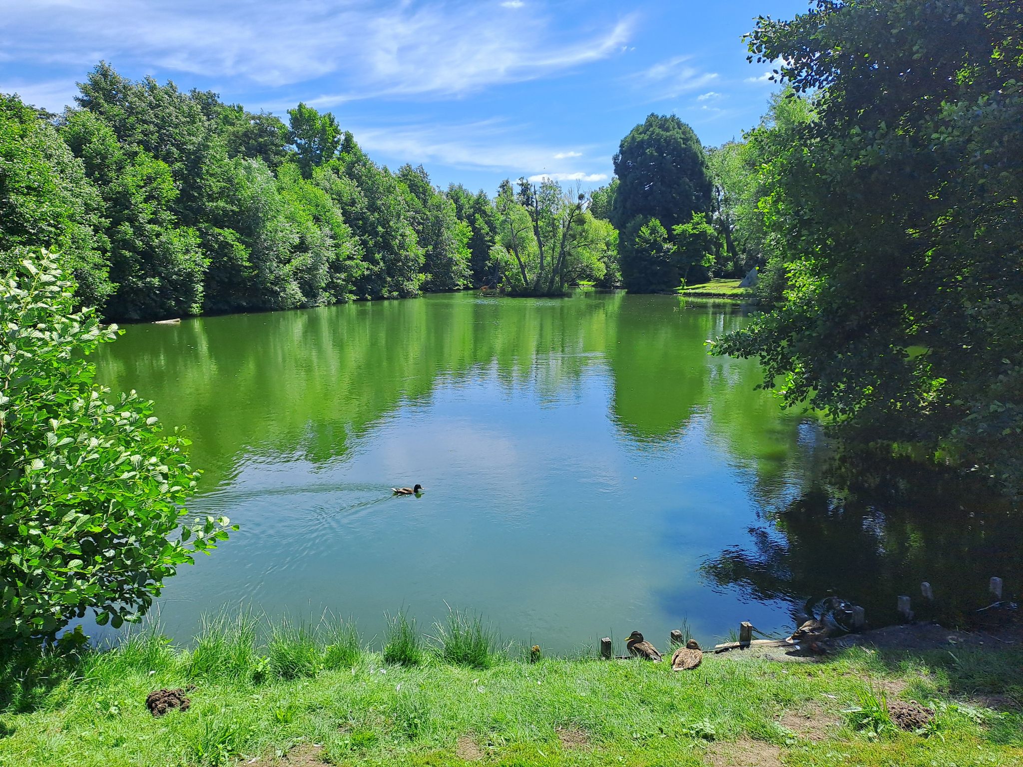 Schlossparkanlage mit Teich