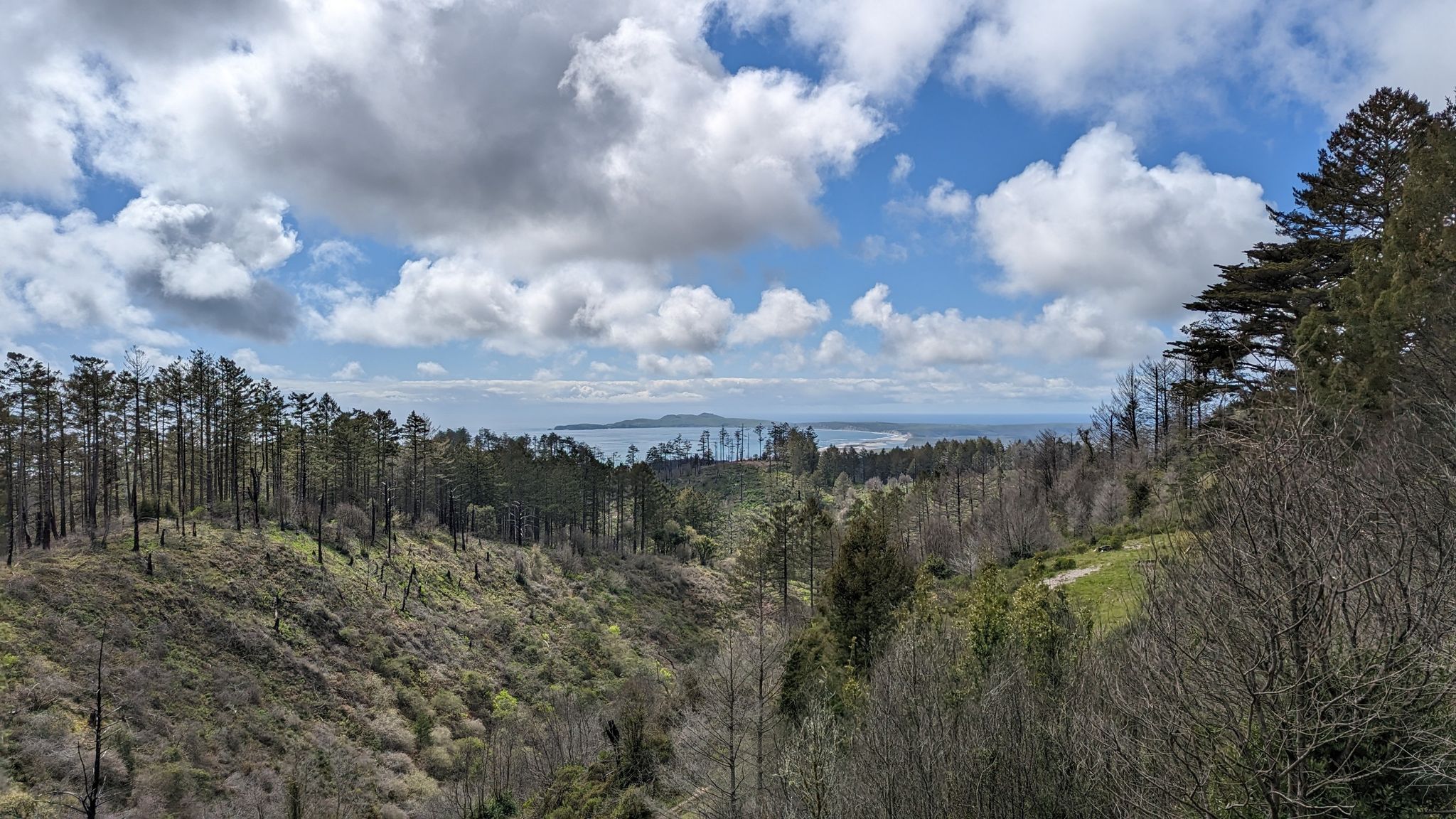Panoramic view of a forested valley with distant water under a cloudy sky. - Old Pine, Sky, and Meadow Loop