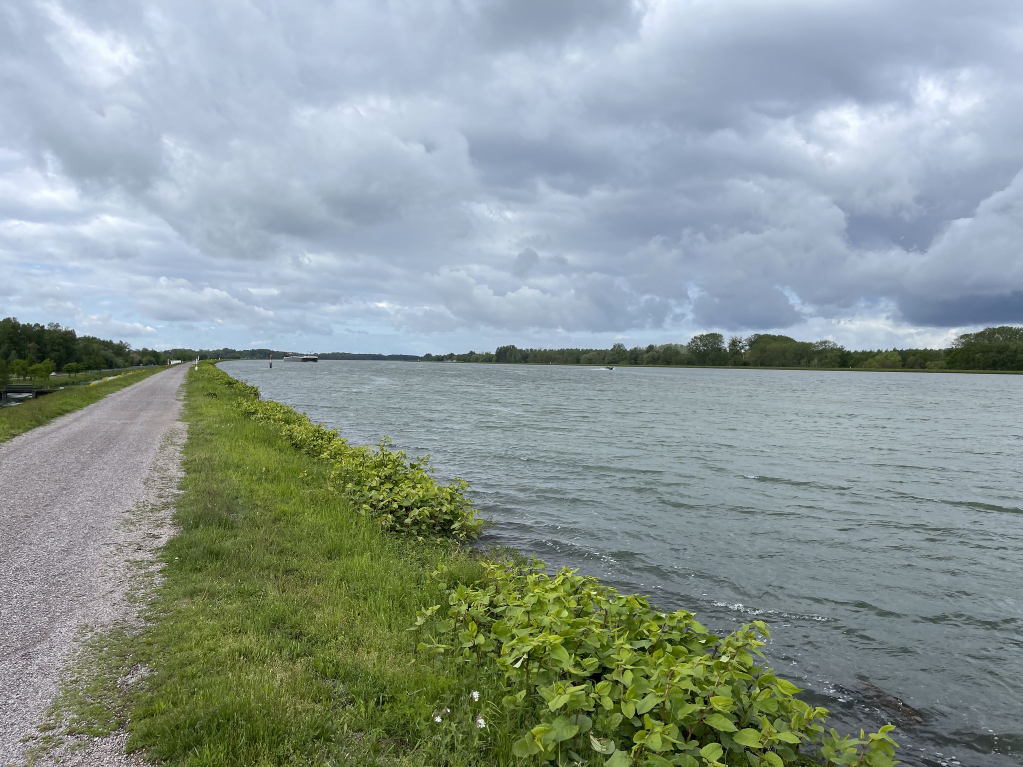 Schiffe schauen auf dem Rhein