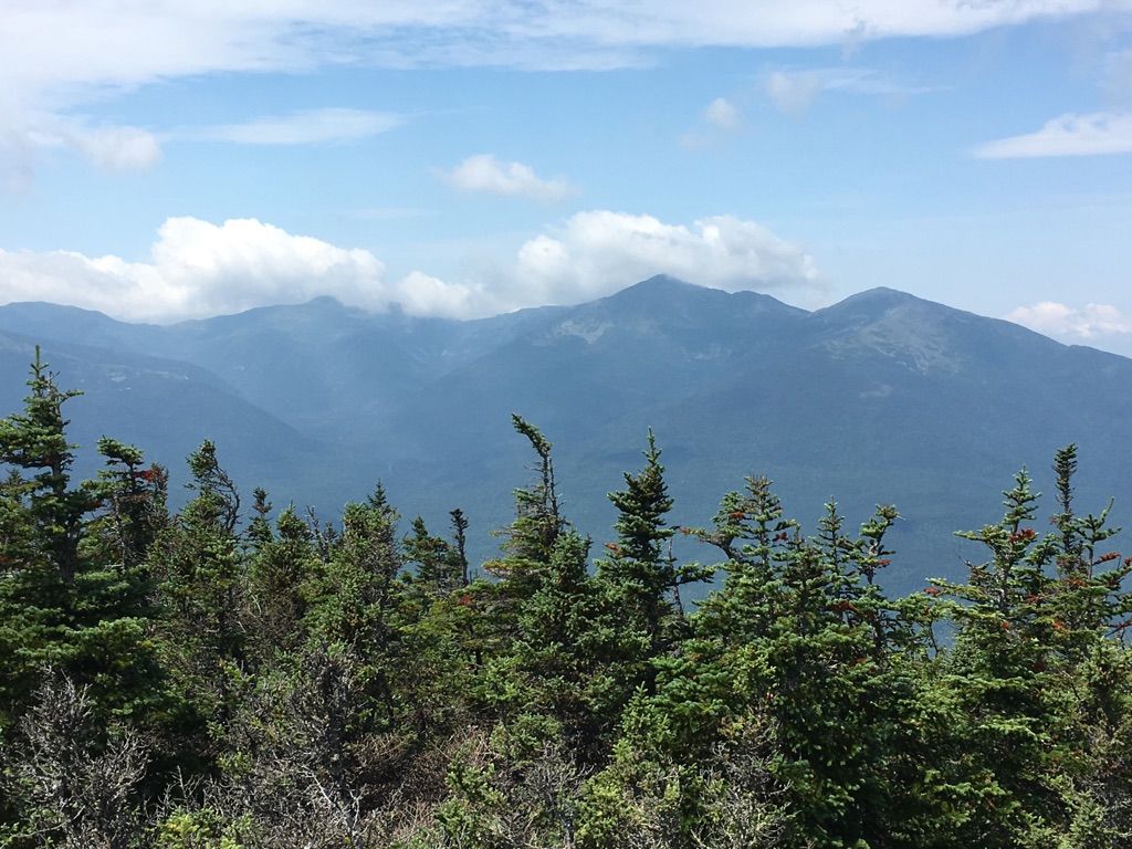 Distant mountain range under a partly cloudy sky, framed by evergreens. - Mount Hight to Carter Dome to North Carter Loop