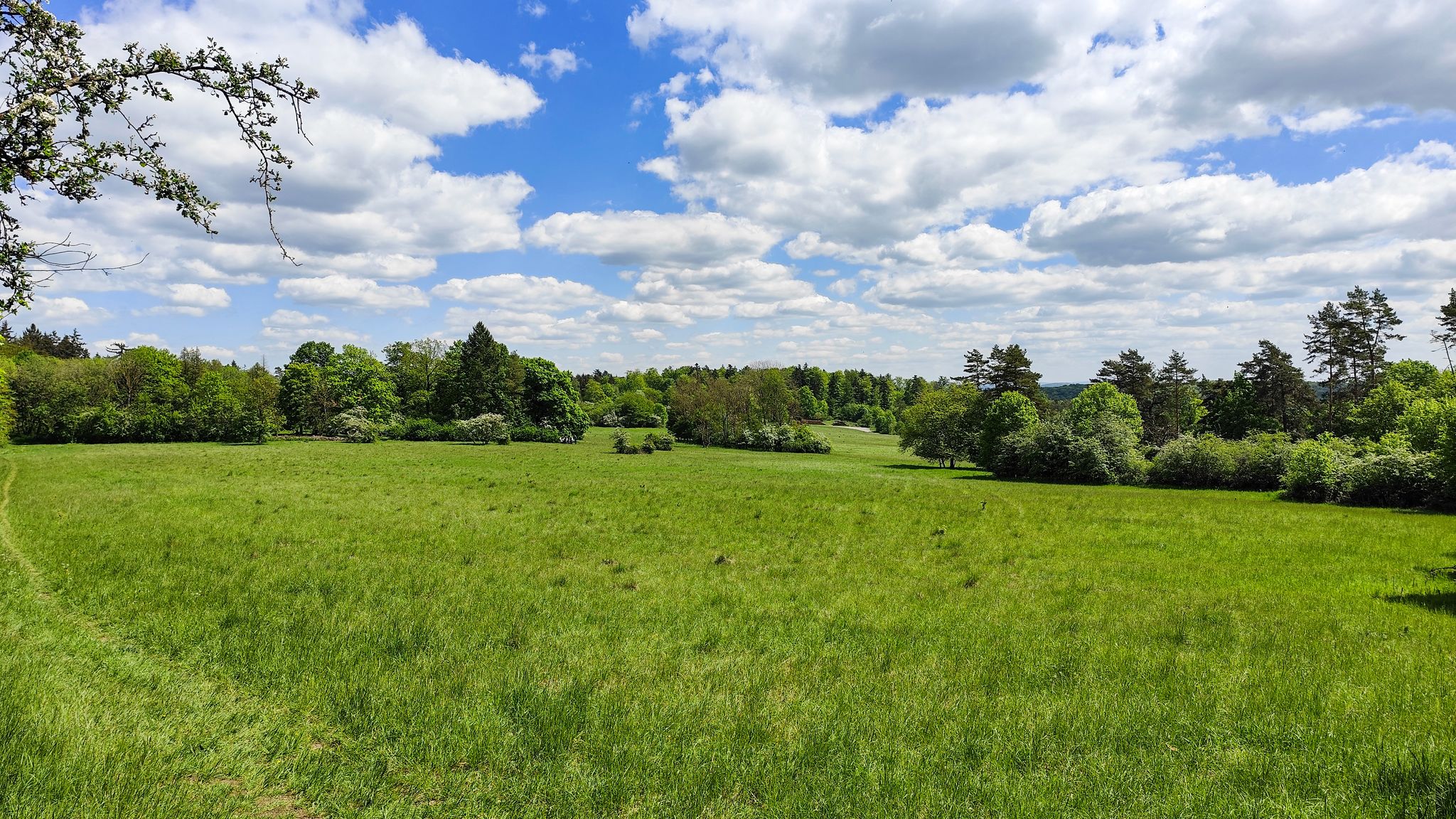 Das Plateau der Hohen Maas