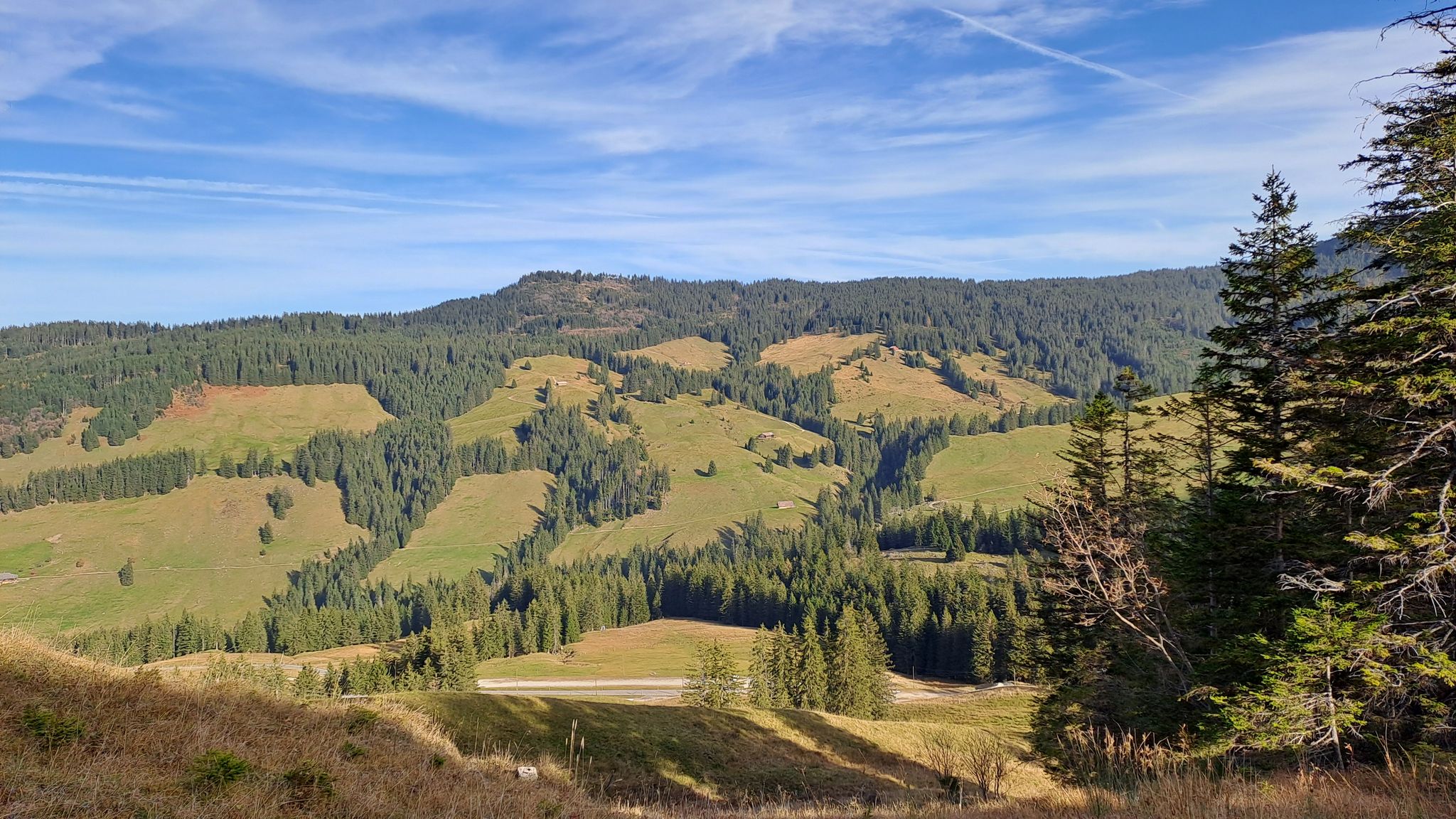 Schüpfeflue