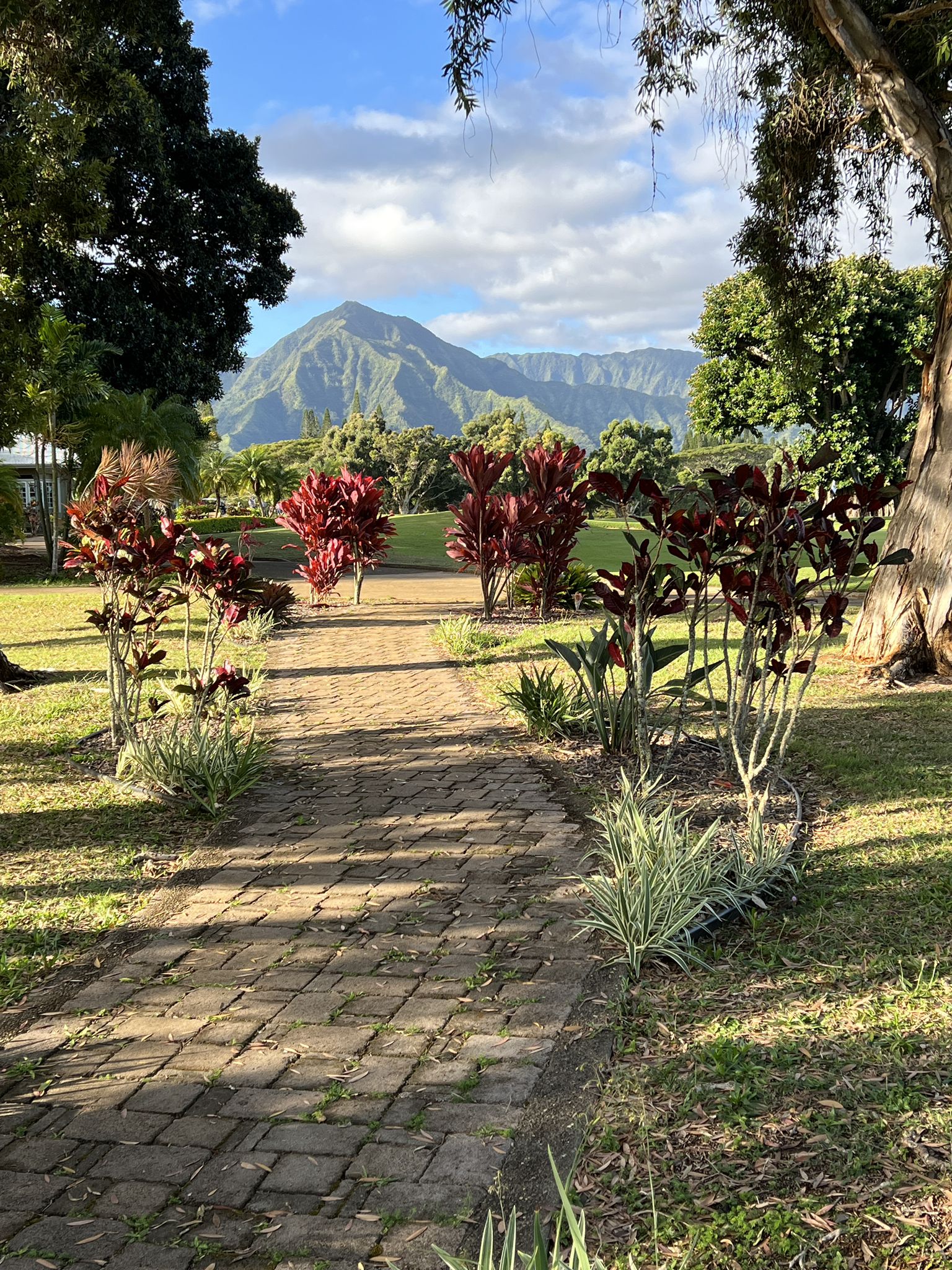 Brick path through a garden with colorful plants, leading to a distant mountain. - Puʻu Poa Point to Prince Albert Park via Ka Haku Road loop