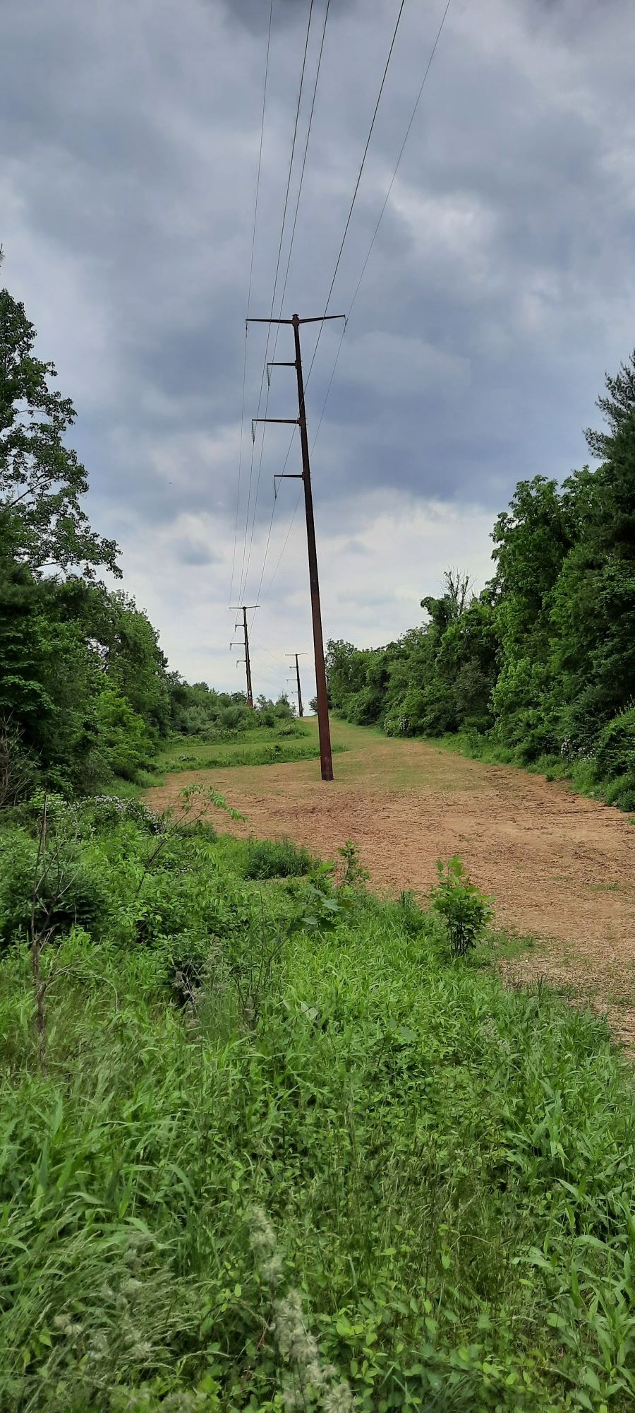 Power lines stretch over a cleared path through green foliage under cloudy skies. - Kellys Run Nature Preserve loop from Holtwood
