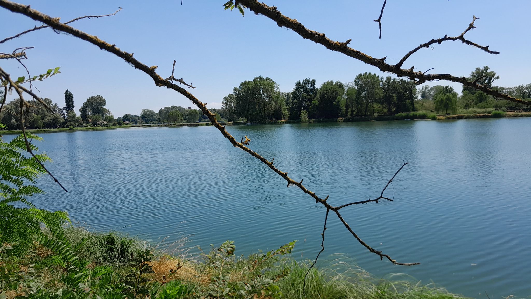 laghetto San Pietro Cusico