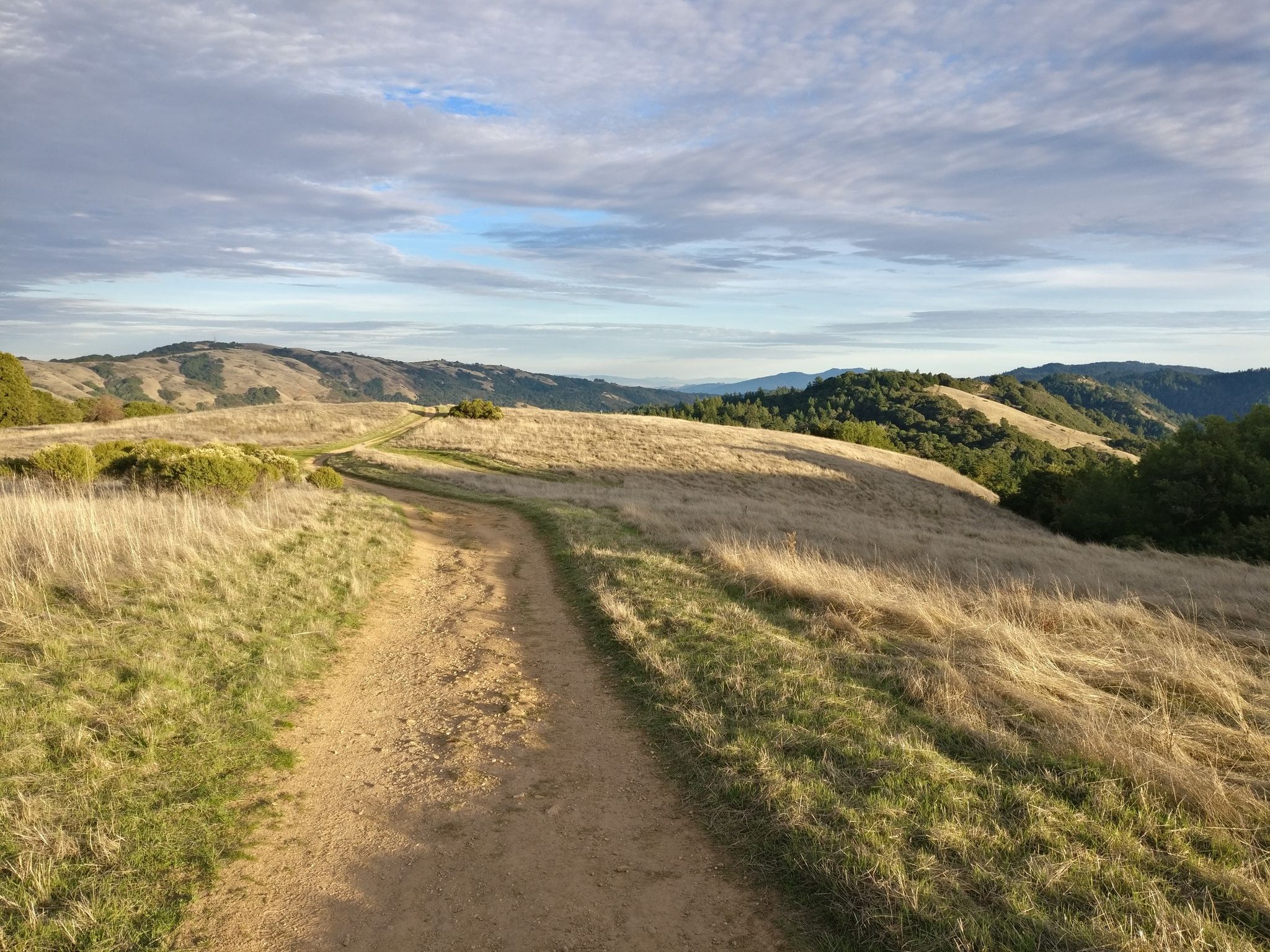 Dirt path winding through golden grassy hills under a cloudy sky. - Frenchman's Tower loop from Congregation Beth Am