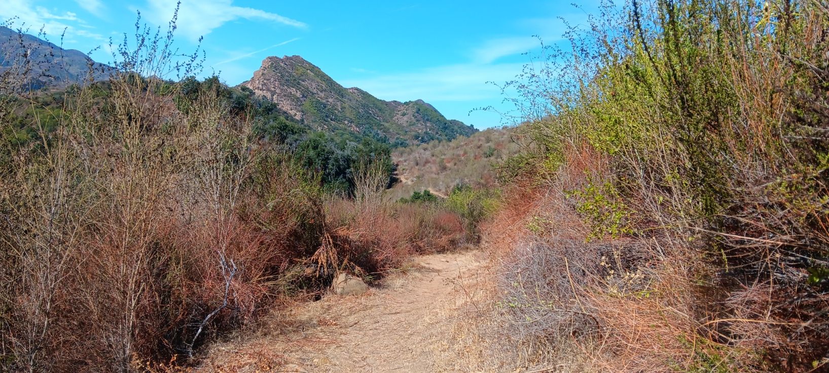 Dirt path through dry brush, leading to green mountains under blue sky. - Malibu Lake Trail — Santa Monica Mountains National Recreation Area