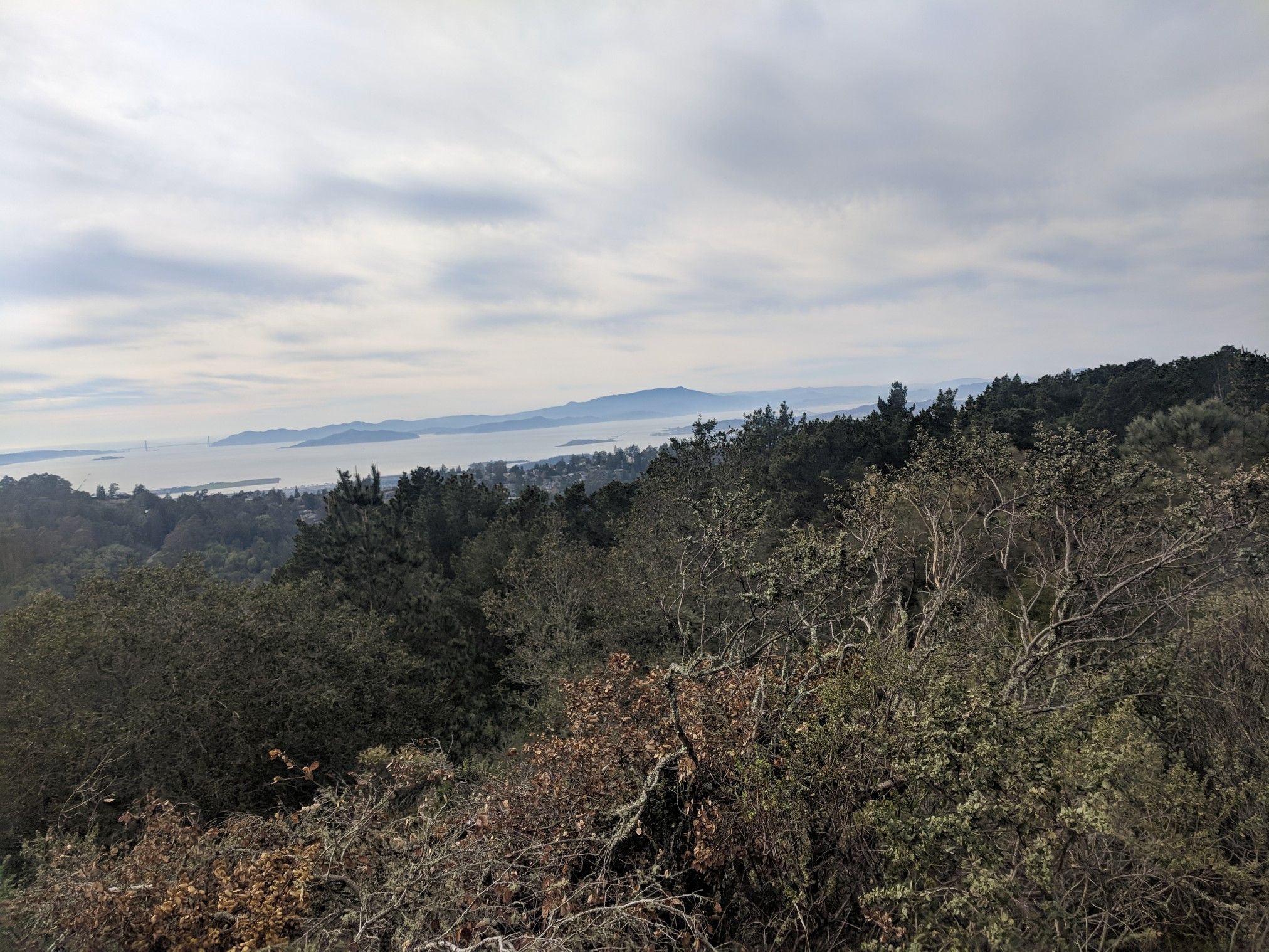 Overcast view of dense forest, a wide body of water, and distant hills. - Seaview Trail to Vista Point