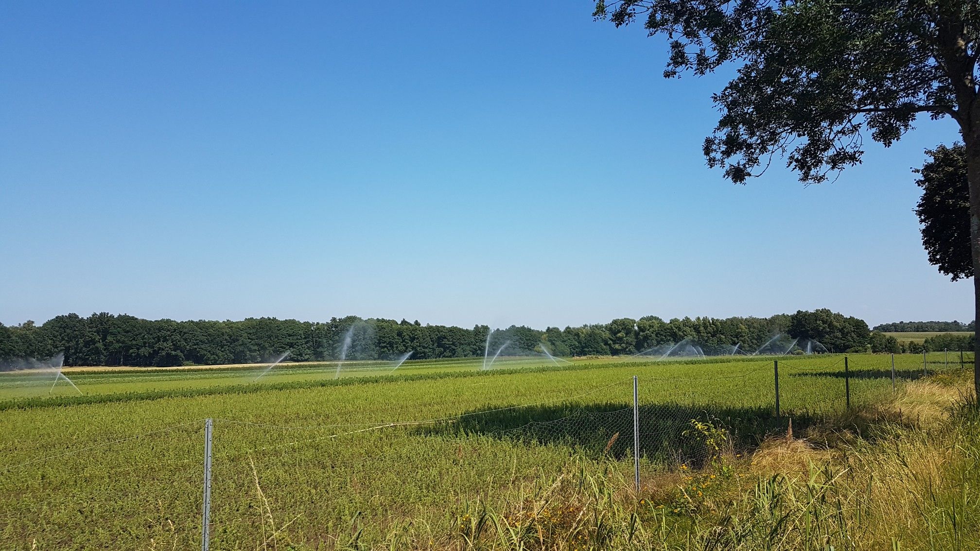 34°c