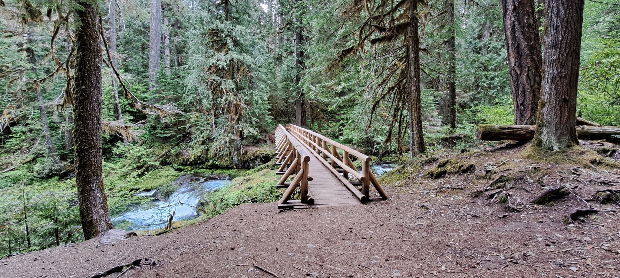Wooden footbridge over a blue river in a dense green forest. - Bagby Trail #544